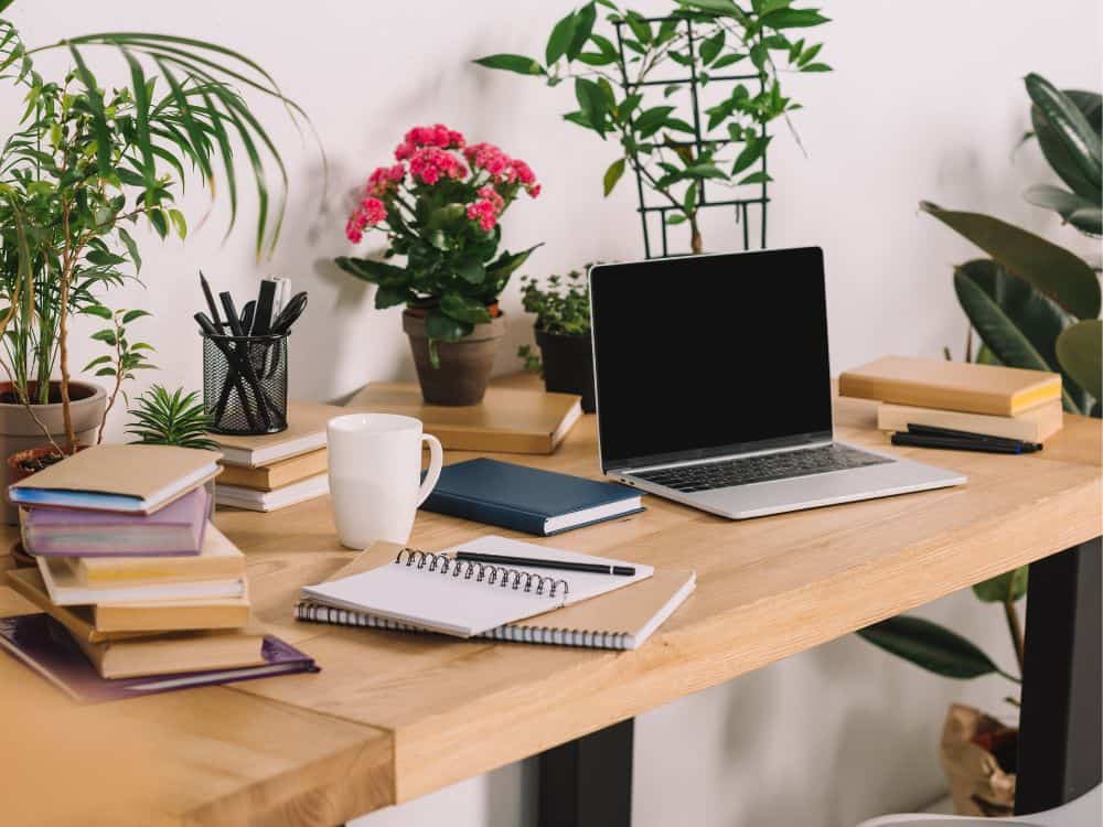 House Full of Plants: Tips For Creating Your An Indoor Oasis Image by lightfieldstudios #housefullofplants #plantfilledhouse #houseswithplants #housewithplants #houseofplants #roomwithplants #sustainablejungle