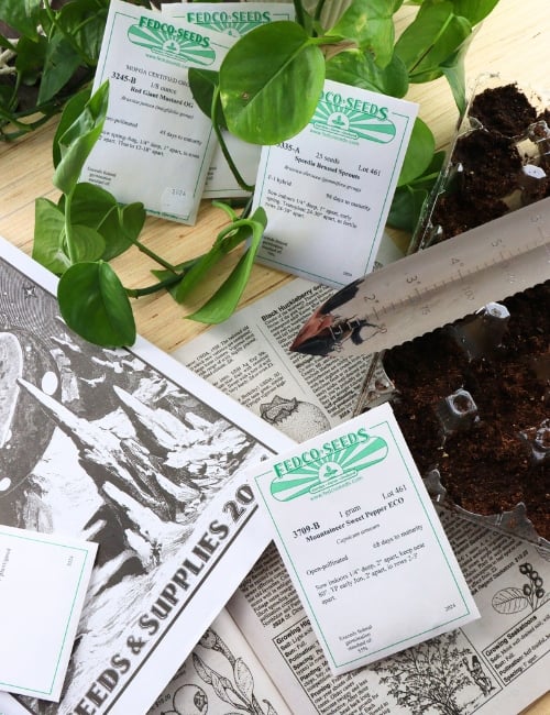 9 Best Sustainable Seed Company Purveyors Of Plant-astic Bounty Image by Sustainable Jungle #sustainableseedcompany #sustainableseeds #susatinableseedcompanies #bestorganicseeds #ethicalseedcompanies #sustainablejungle