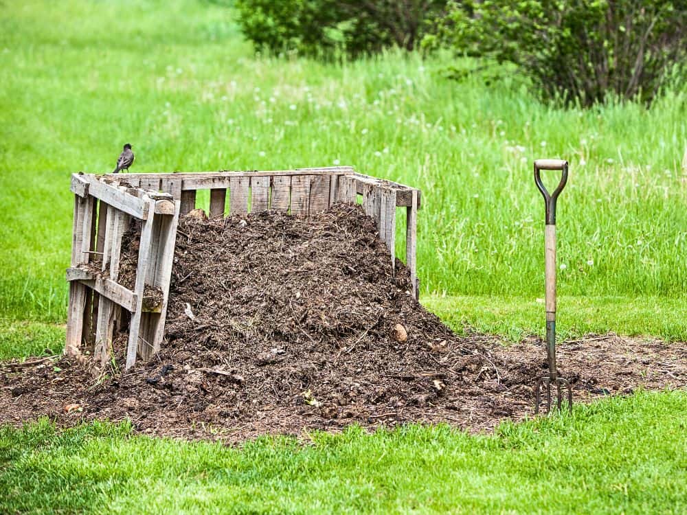 Unearthing The Benefits Of Composting Image by allkindza #benefitsofcomposting #compostingbenefits #whycompostingisimportant #prosofcomposting #usesforcompost #reasonstocompost #sustainablejungle