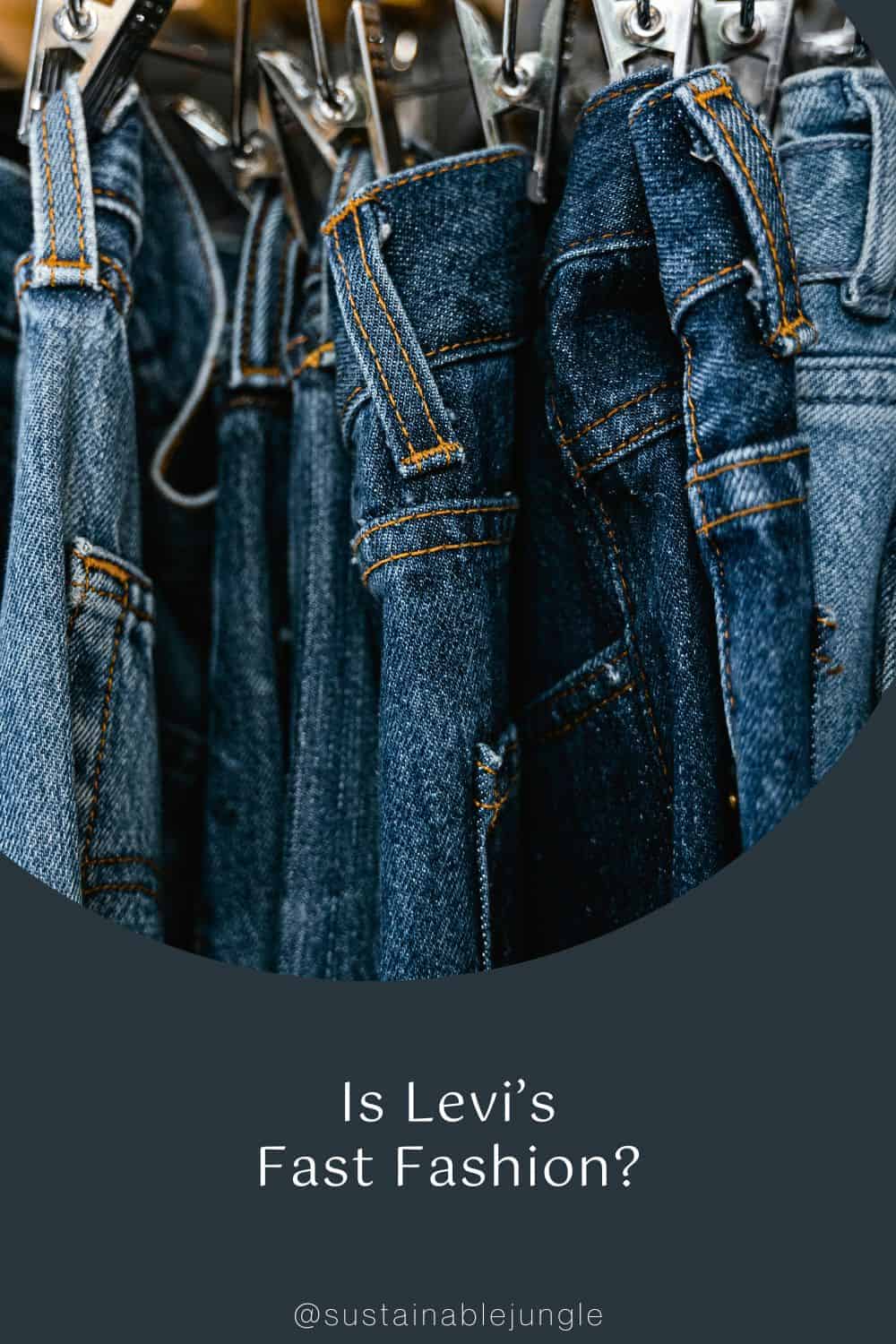 Is Levi’s Fast Fashion? Image by MART PRODUCTION #islevisfastfashion #islevisethical #Levissustainability #howethicalislevis #islevissustainable #sustainablejungle