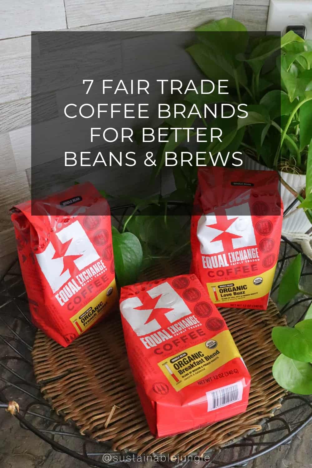 7 Fair Trade Coffee Brands For Better Beans & Brews Image by Sustainable Jungle #fairtradecoffeebrands #bestfairtradecoffee #directtradecoffeebrands #freetradecoffeebrands #fairtradeorganiccoffee #sustainablejungle