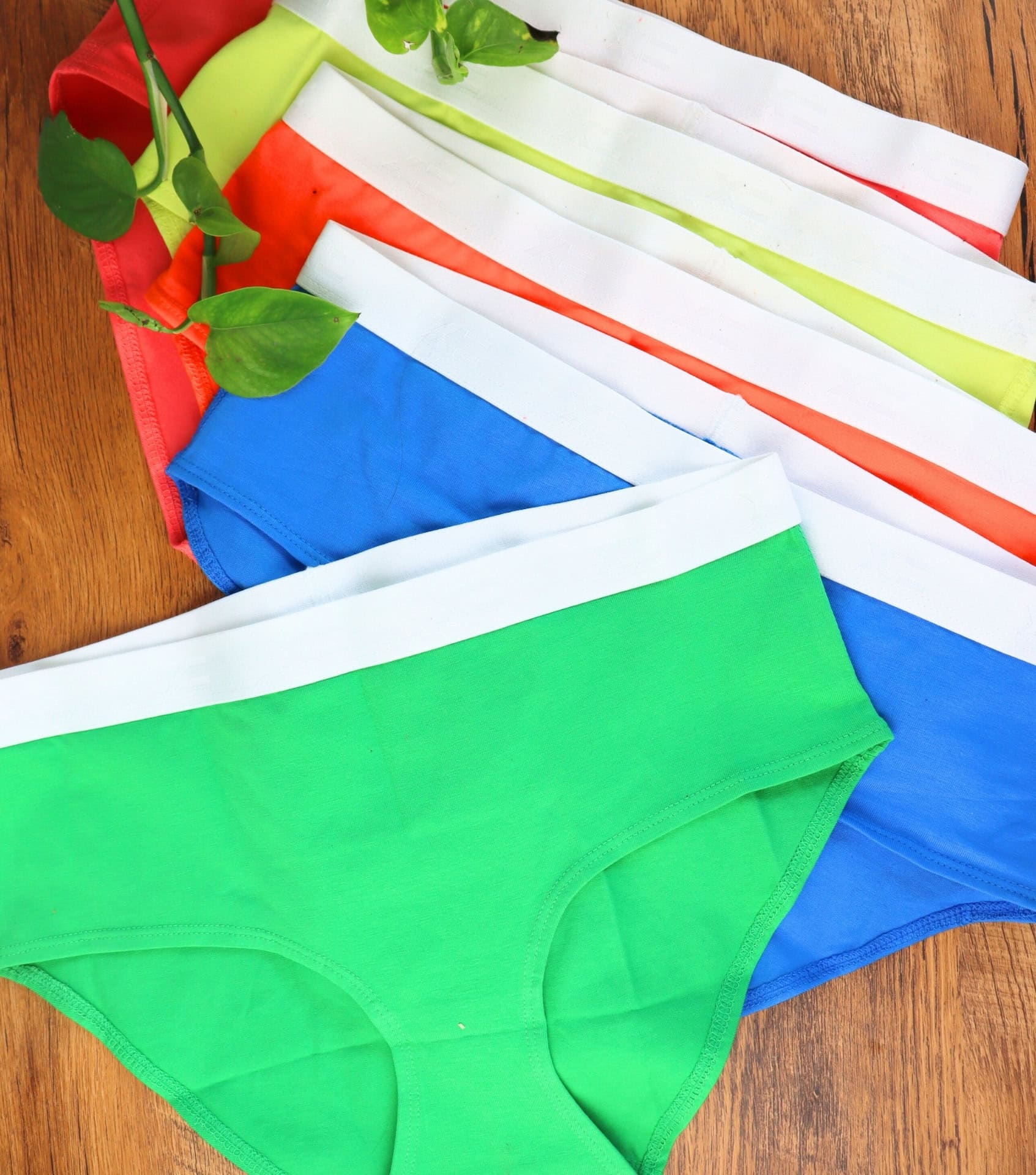 Image by Sustainable Jungle (TomboyX) (ethical-underwear)
