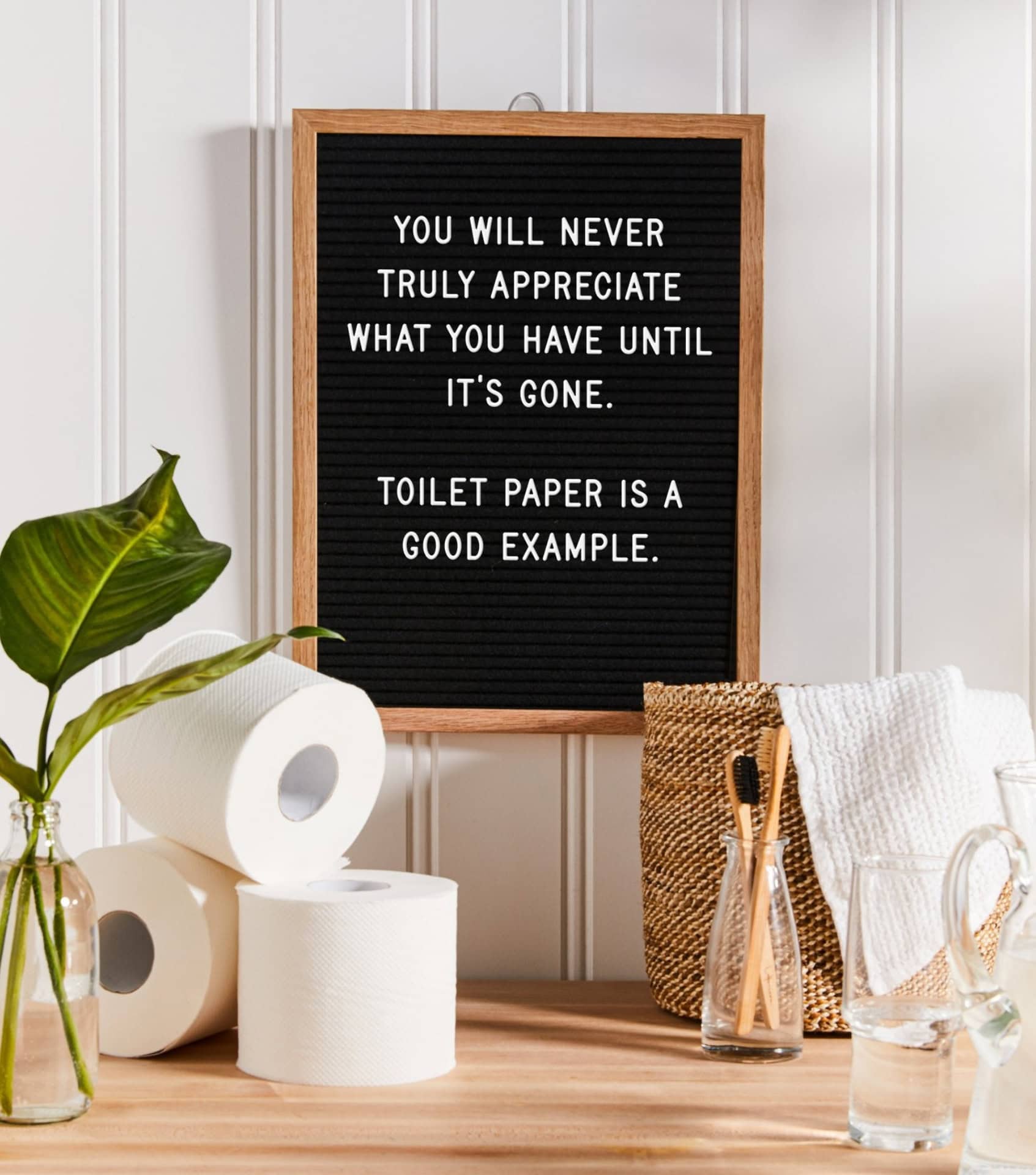 Image by Grove Collaborative (zero-waste-toilet-paper)