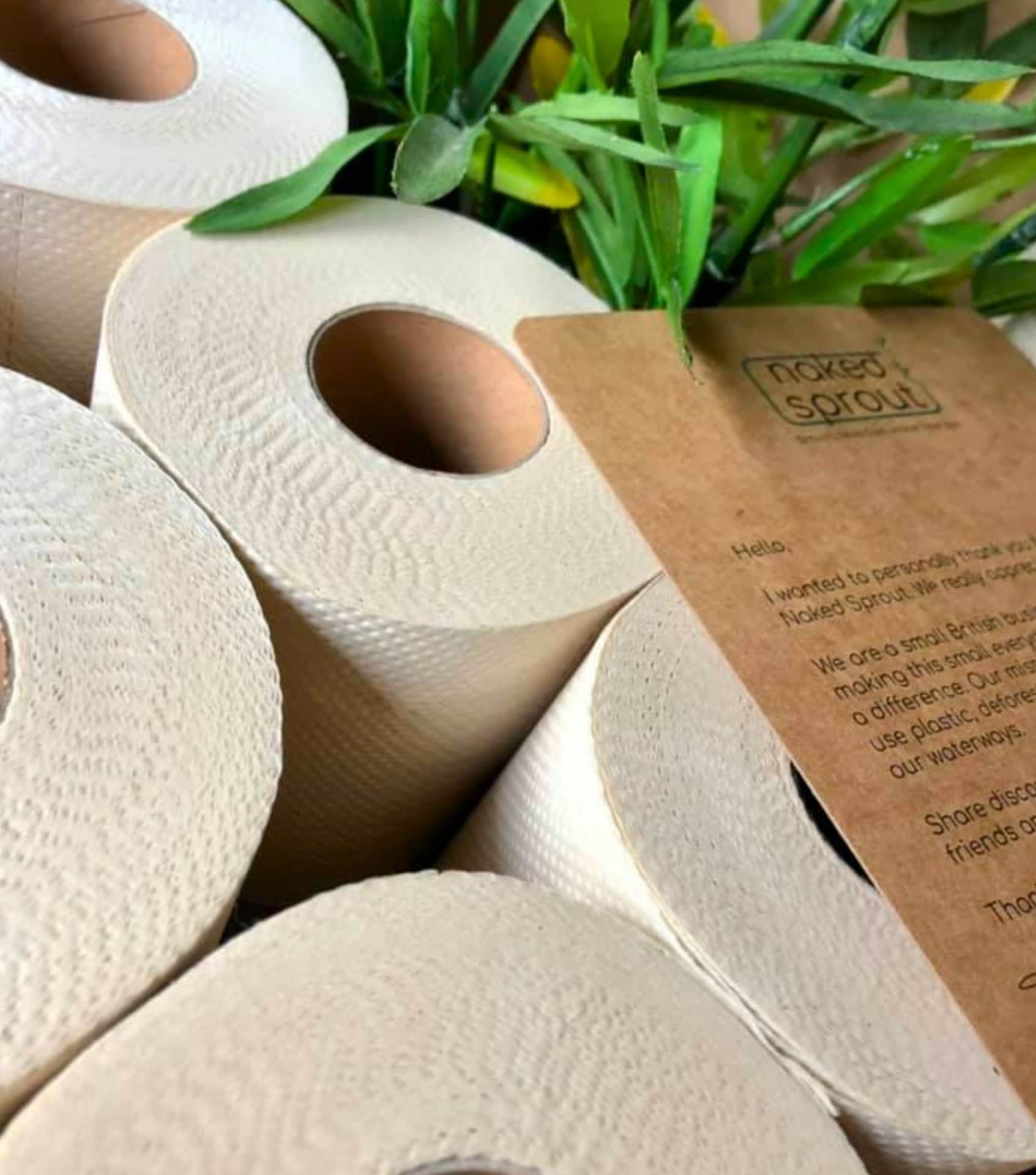 Image by Naked Sprout (zero-waste-toilet-paper)