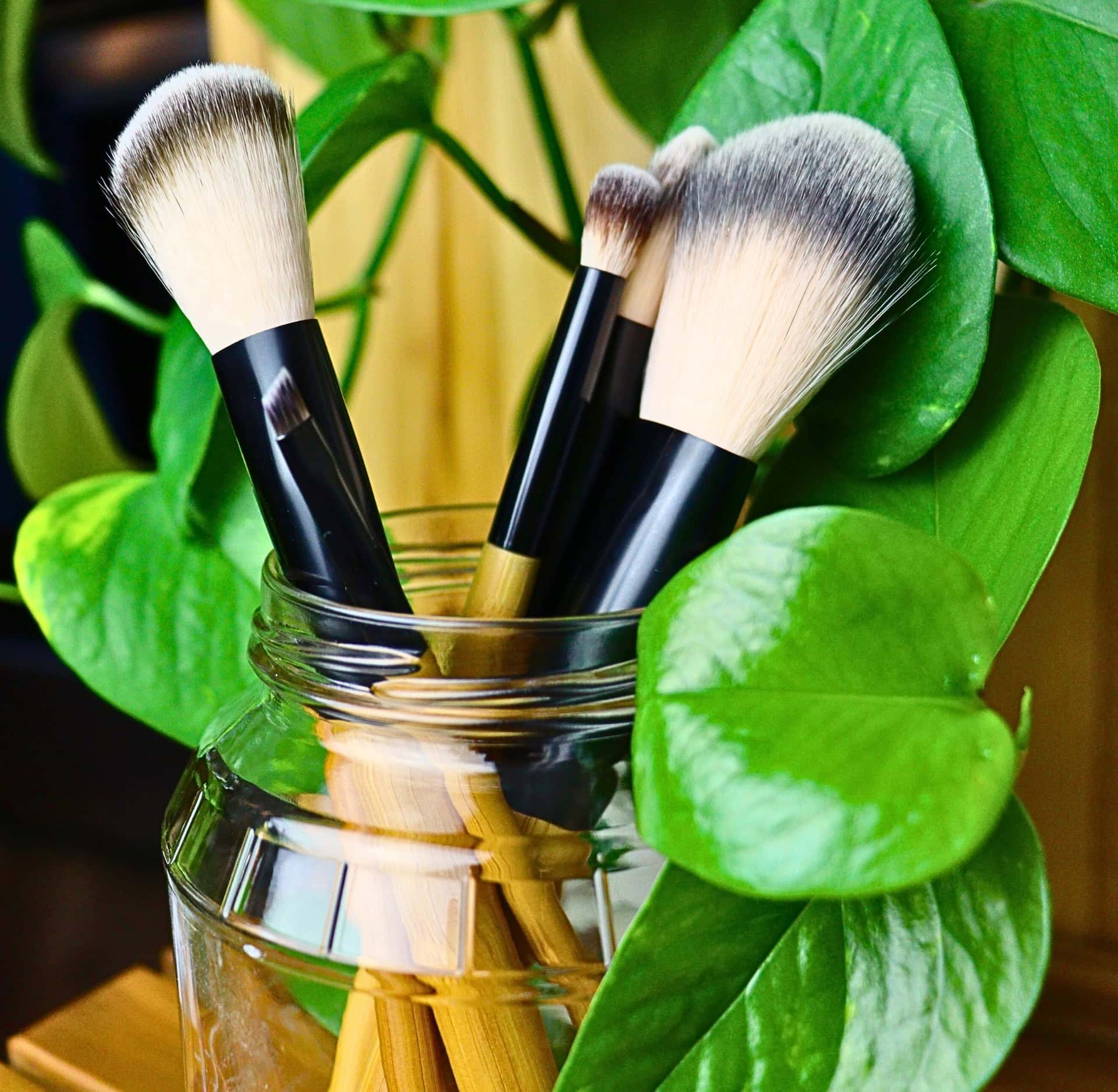 Vegan makeup brushes discount