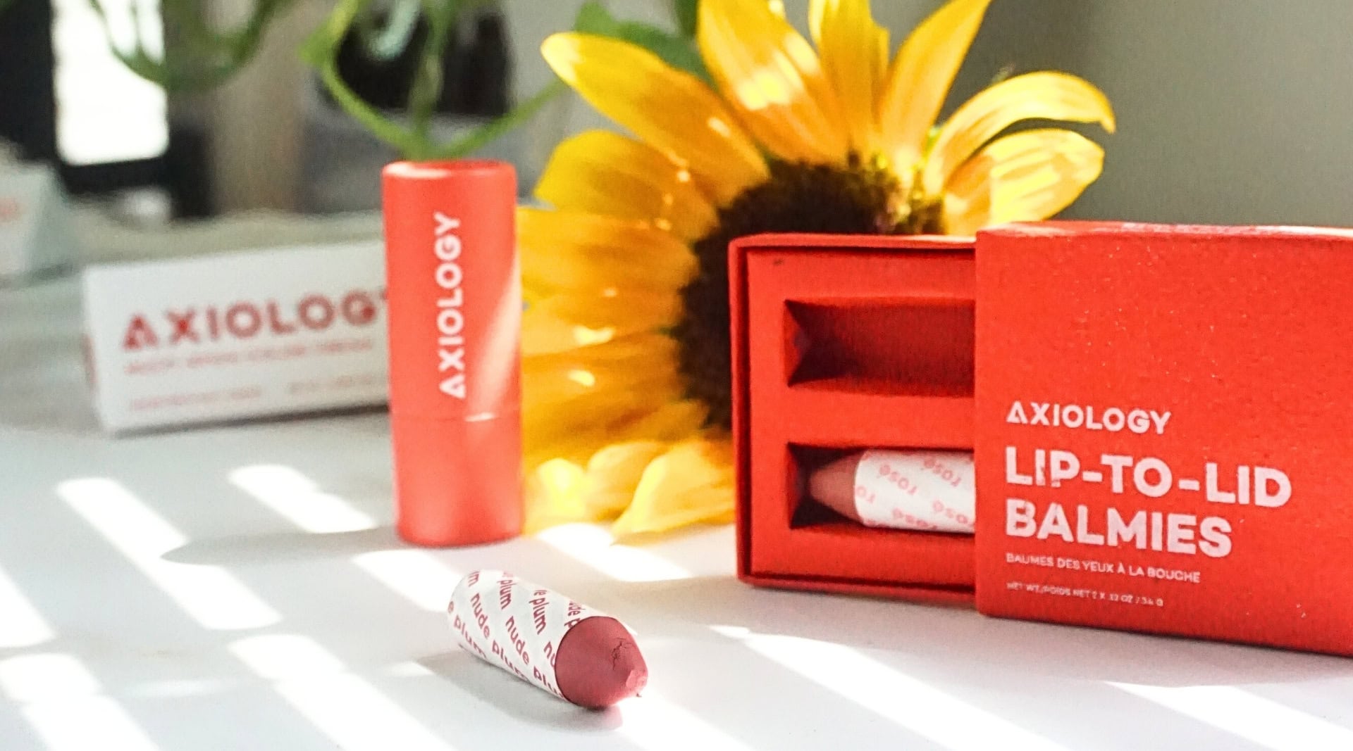 Image by Sustainable Jungle (Axiology) (sustainable-beauty-brands)