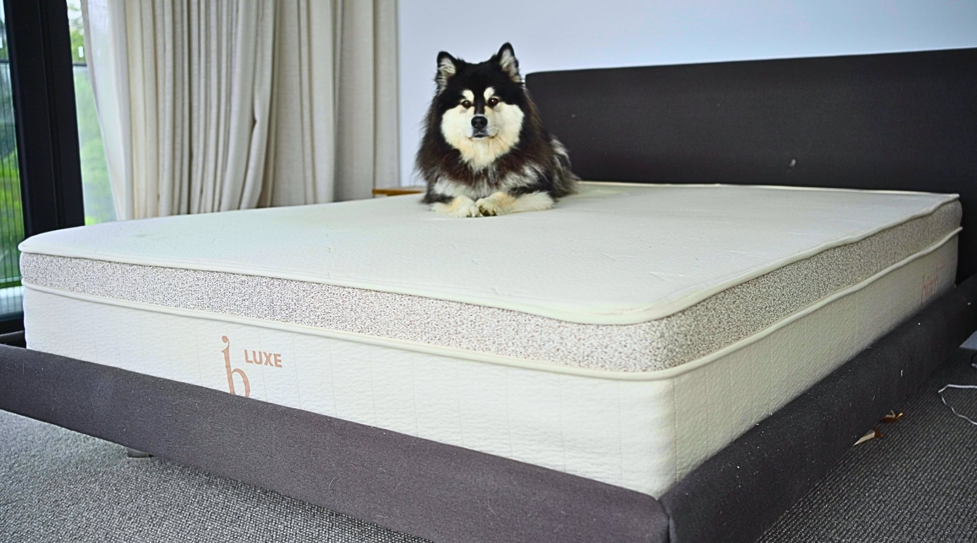Image by Sustainable Jungle (Birch) (sustainable-mattresses)