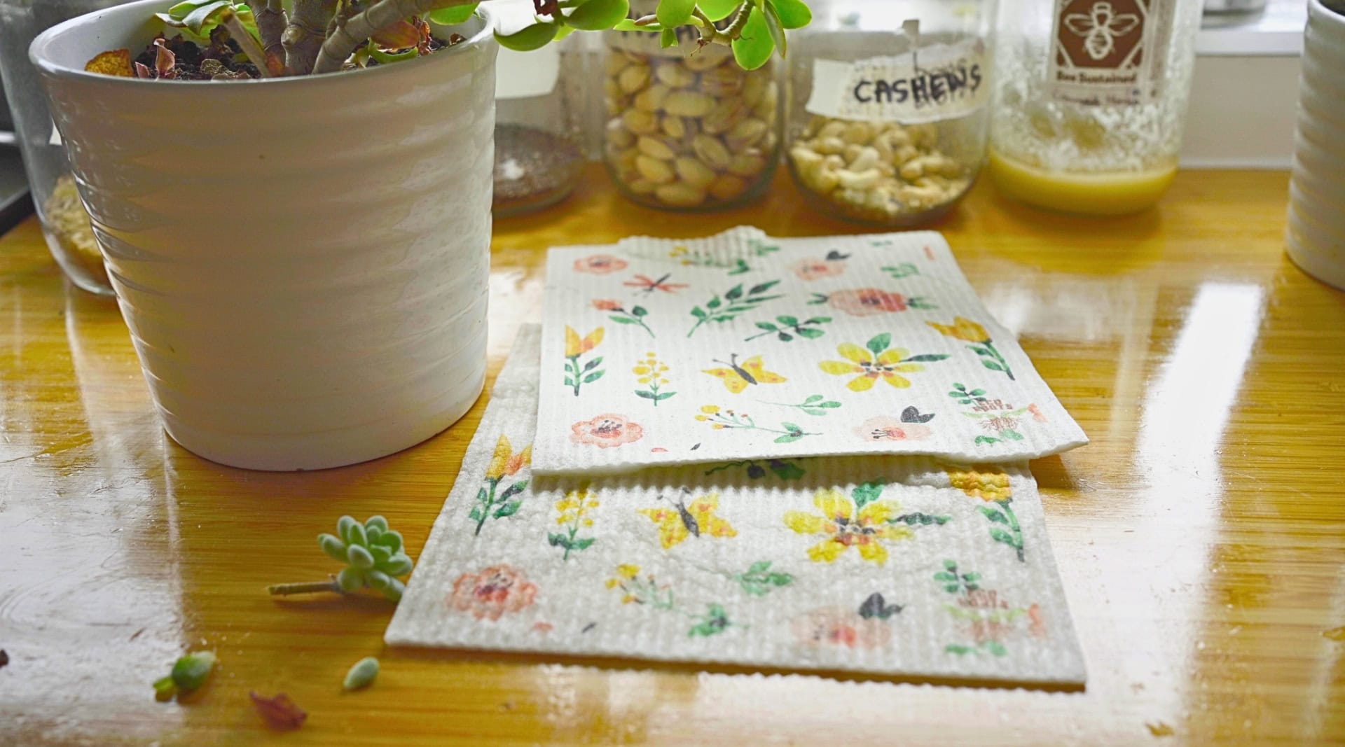 Image by Sustainable Jungle (EcoRoots) (zero-waste-cleaning)