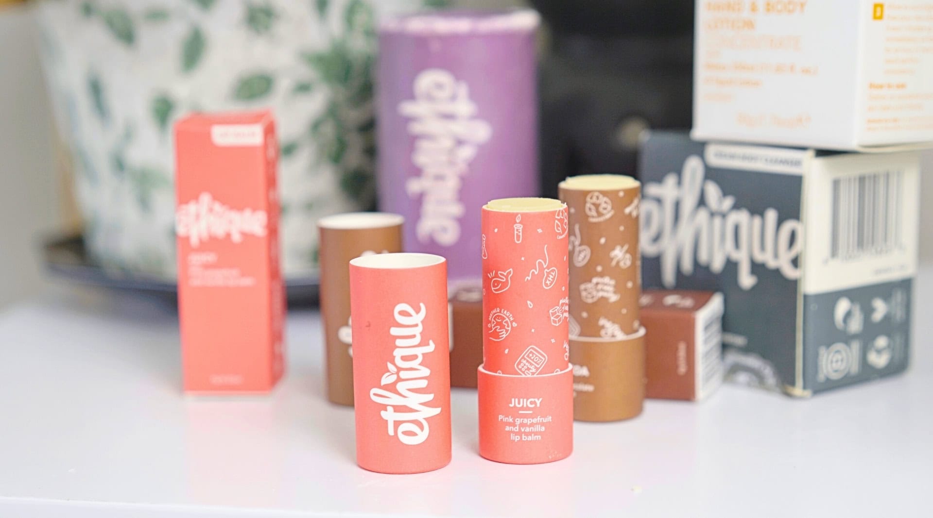 Image by Sustainable Jungle (Ethique) (sustainable-beauty-brands)