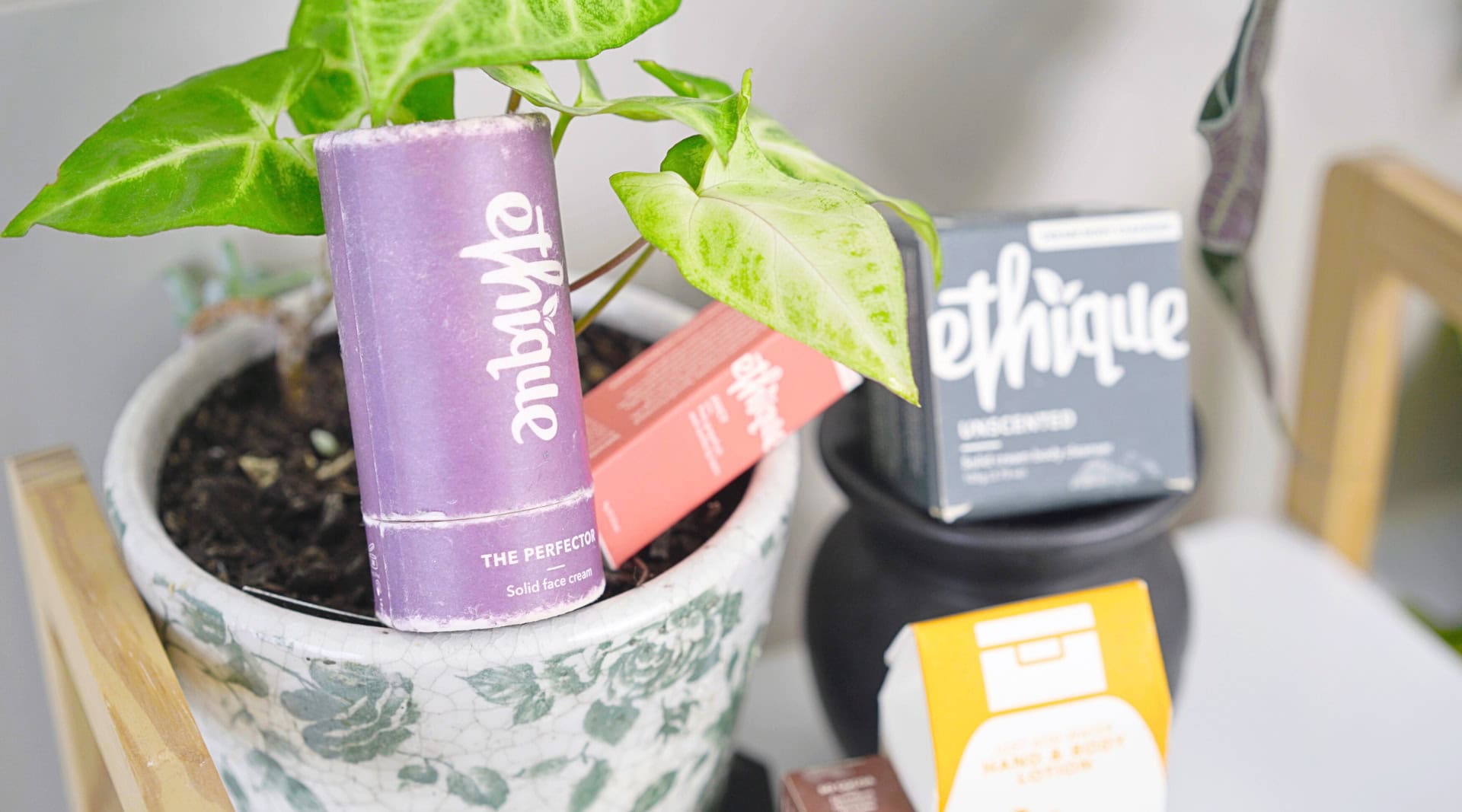 Image by Sustainable Jungle (Ethique) (sustainable moisturizers)