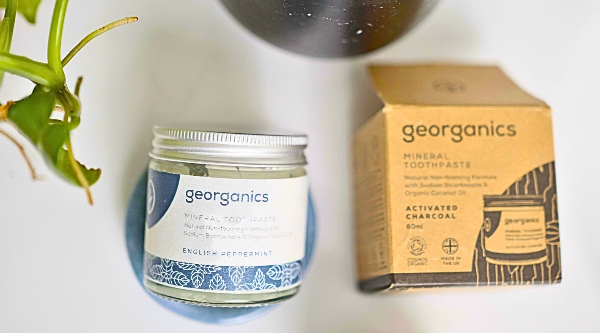 Image by Sustainable Jungle (Georganics) (sustainable-toothpaste) (2)