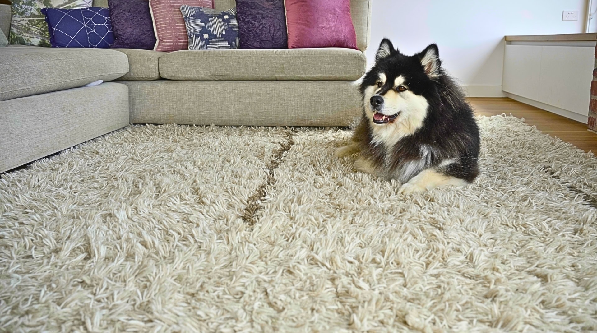 9 Sustainable Rugs To Elevate Your Eco Friendly Home