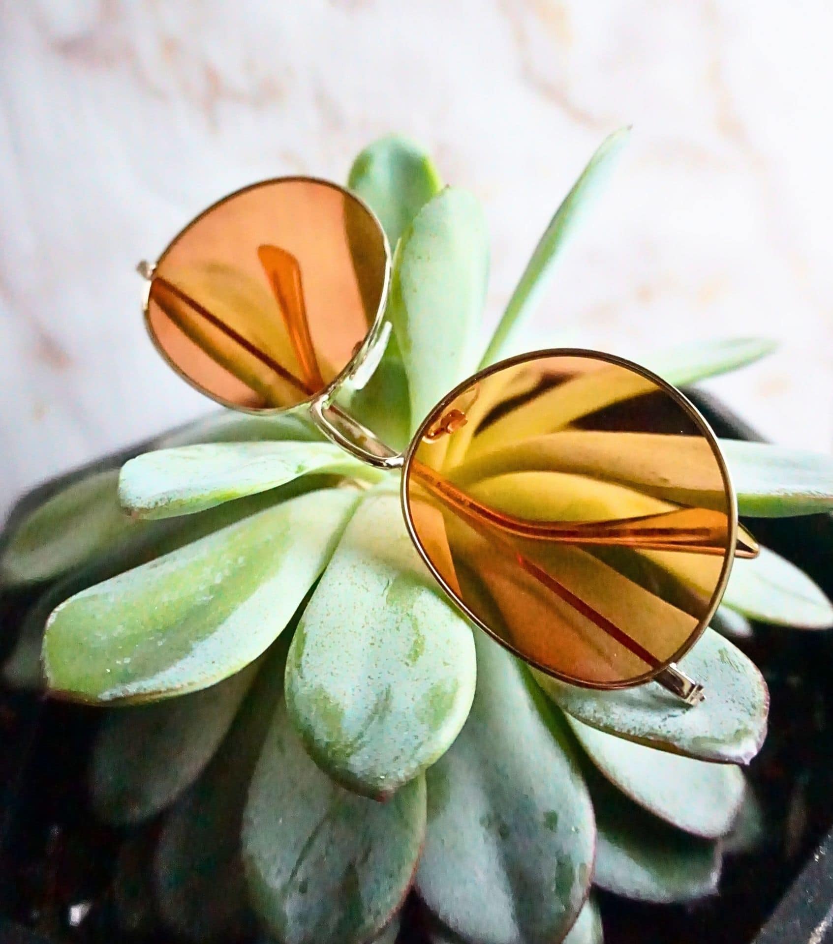 Image by Sustainable Jungle (Pela) (sustainable-sunglasses)