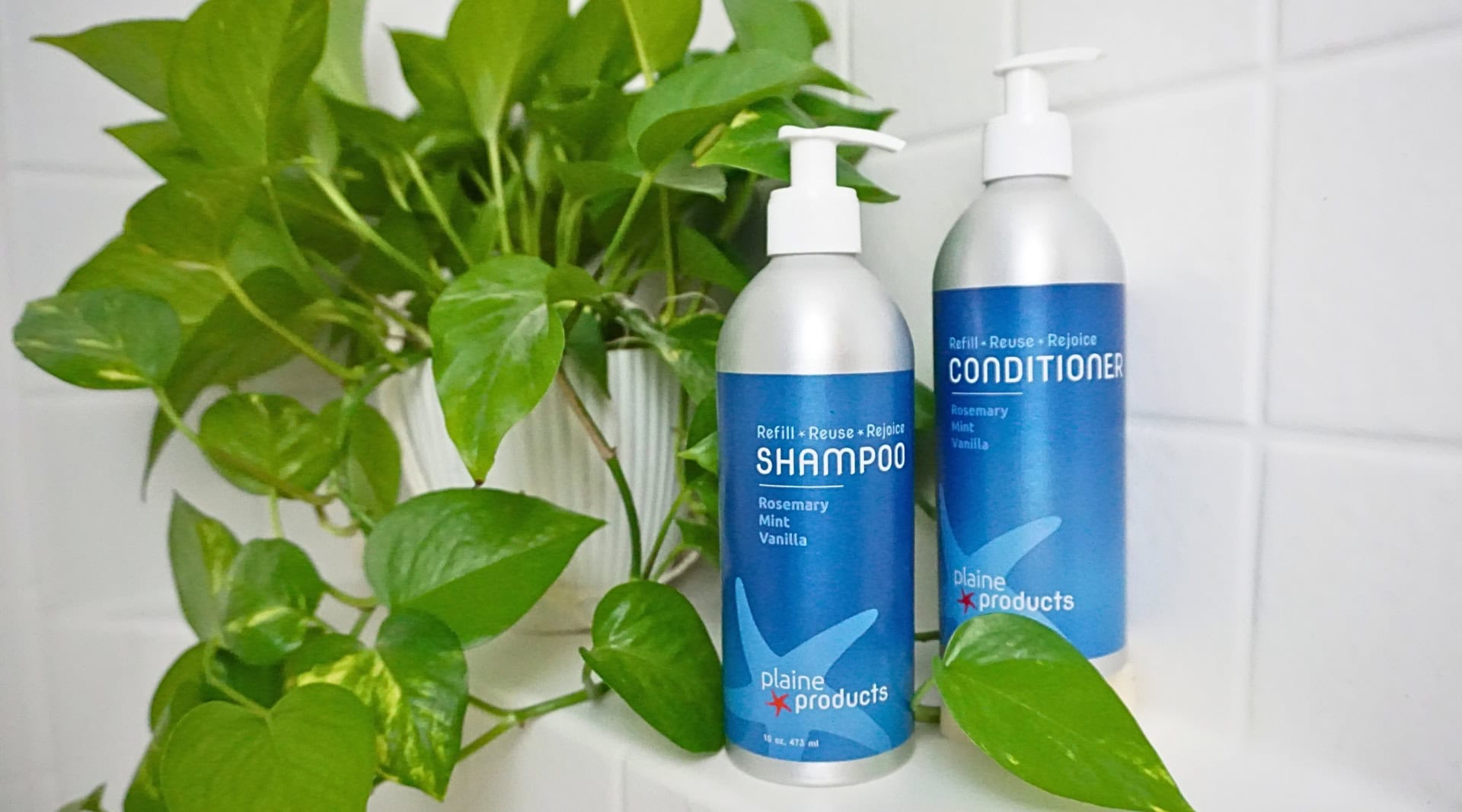 Shampoo eco friendly discount