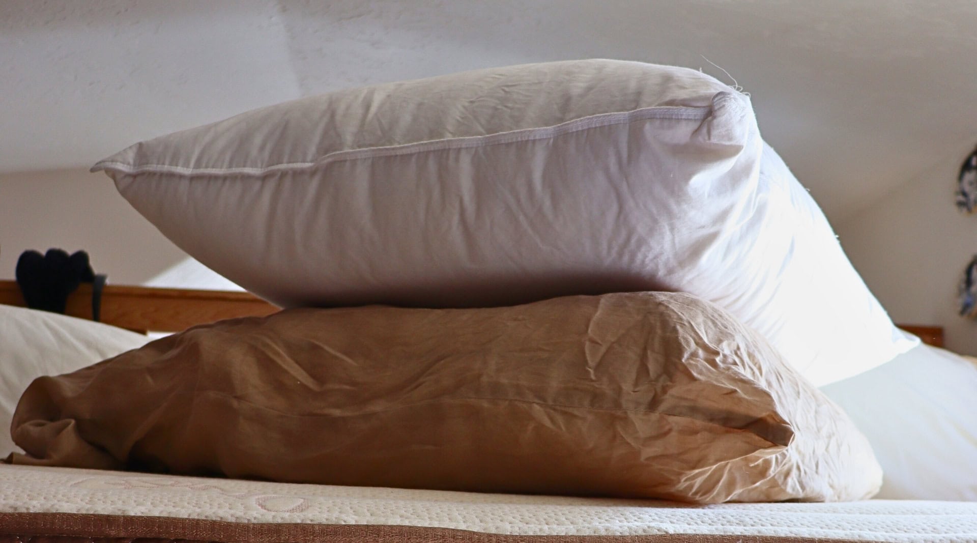 Image by Sustainable Jungle (PlushBeds) (sustainable-pillows)