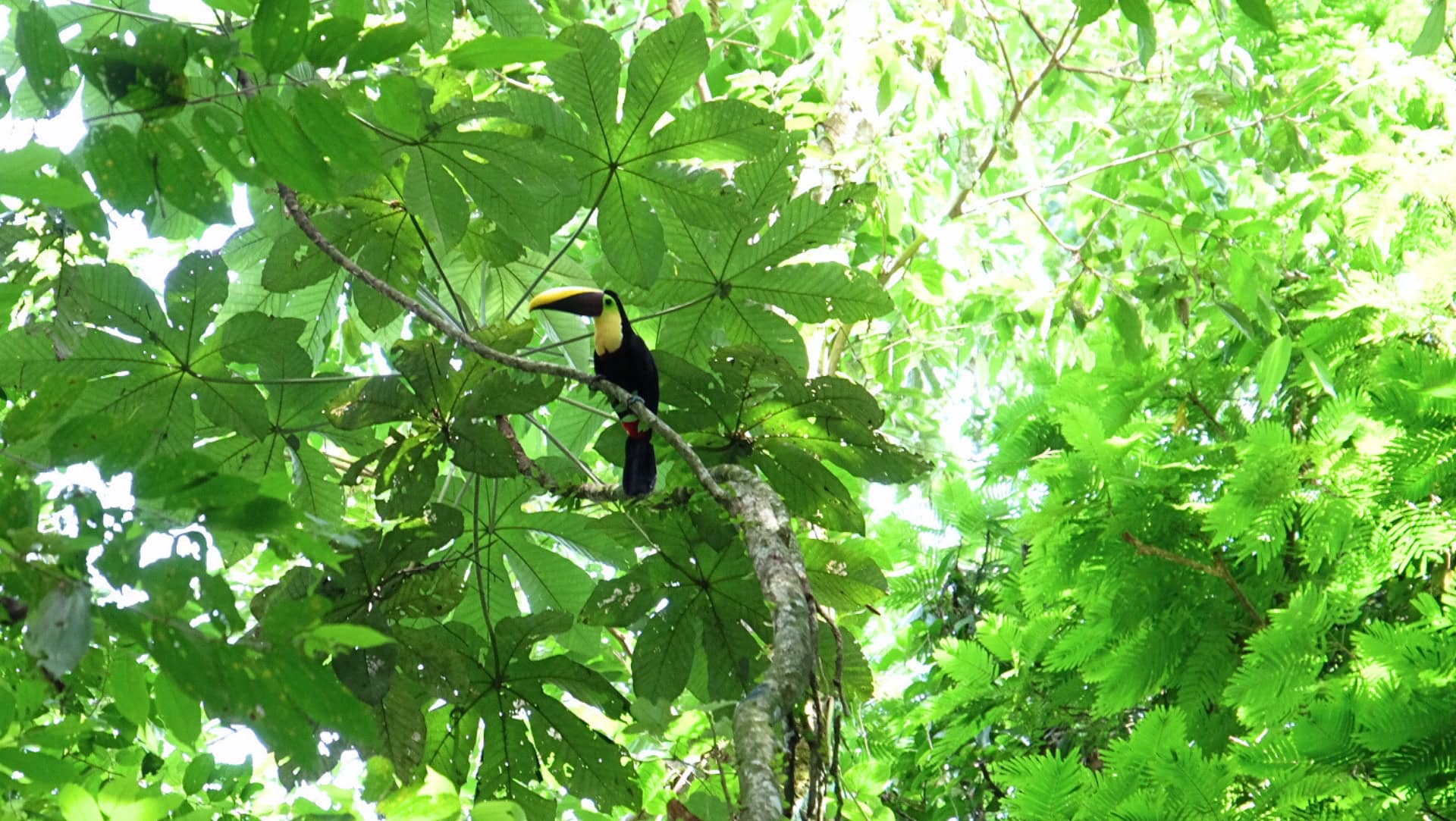 Image by Sustainable Jungle (sustainable-travel-tips)