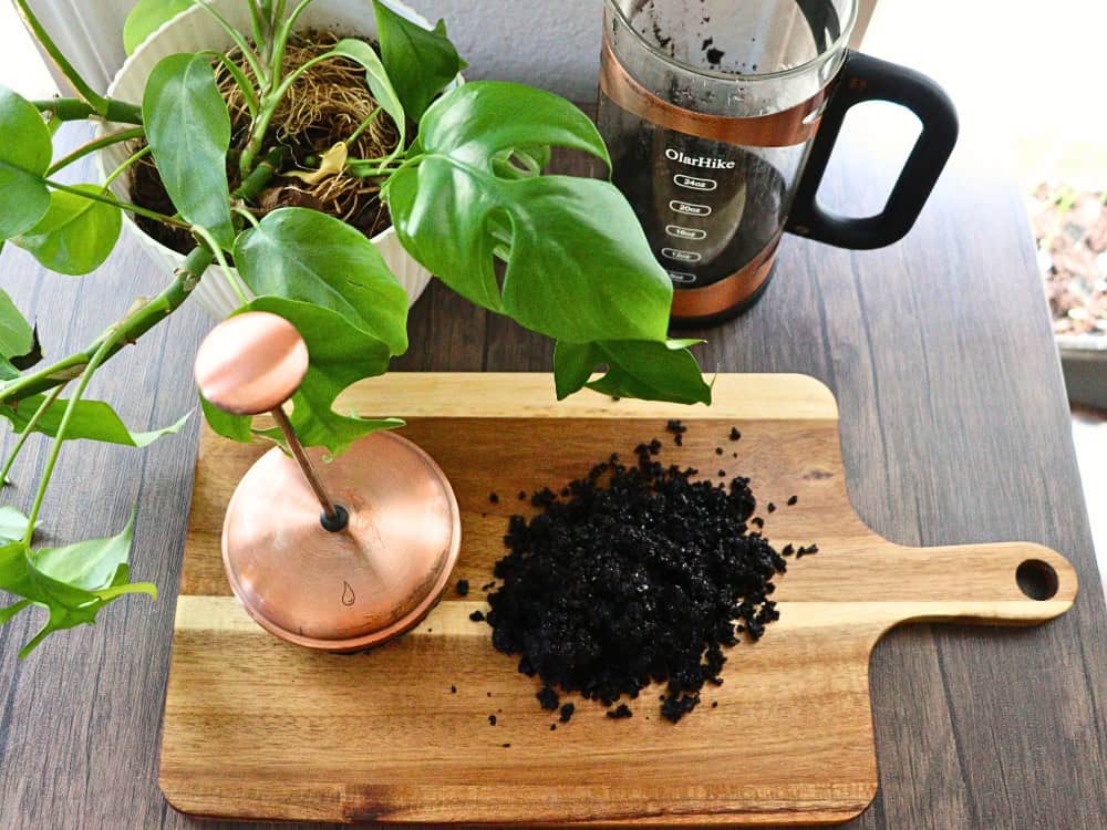 What To Do With Coffee Grounds: 11 Brew-tiful Uses For Coffee Grounds Image by Sustainable Jungle #whattodowithcoffeegrounds #whattodowithusedcoffeegrounds #usesforcoffeegrounds #usedcoffeegrouinds #usesforoldcoffeegrounds #coffeegrounduses #sustainablejungle