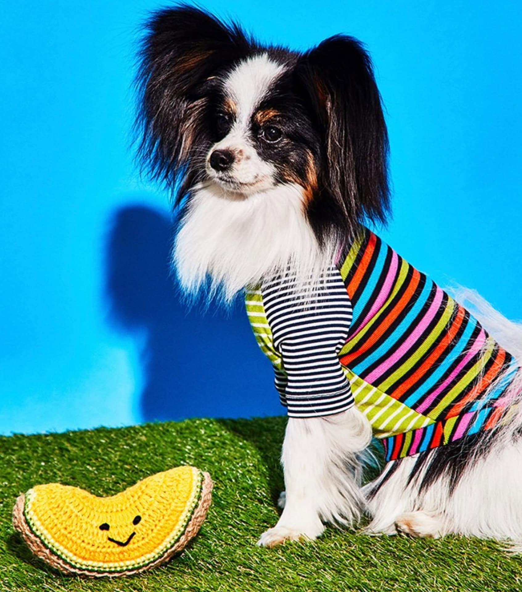 Image by Ware of the Dog (eco-friendly-dog-toys) (2)