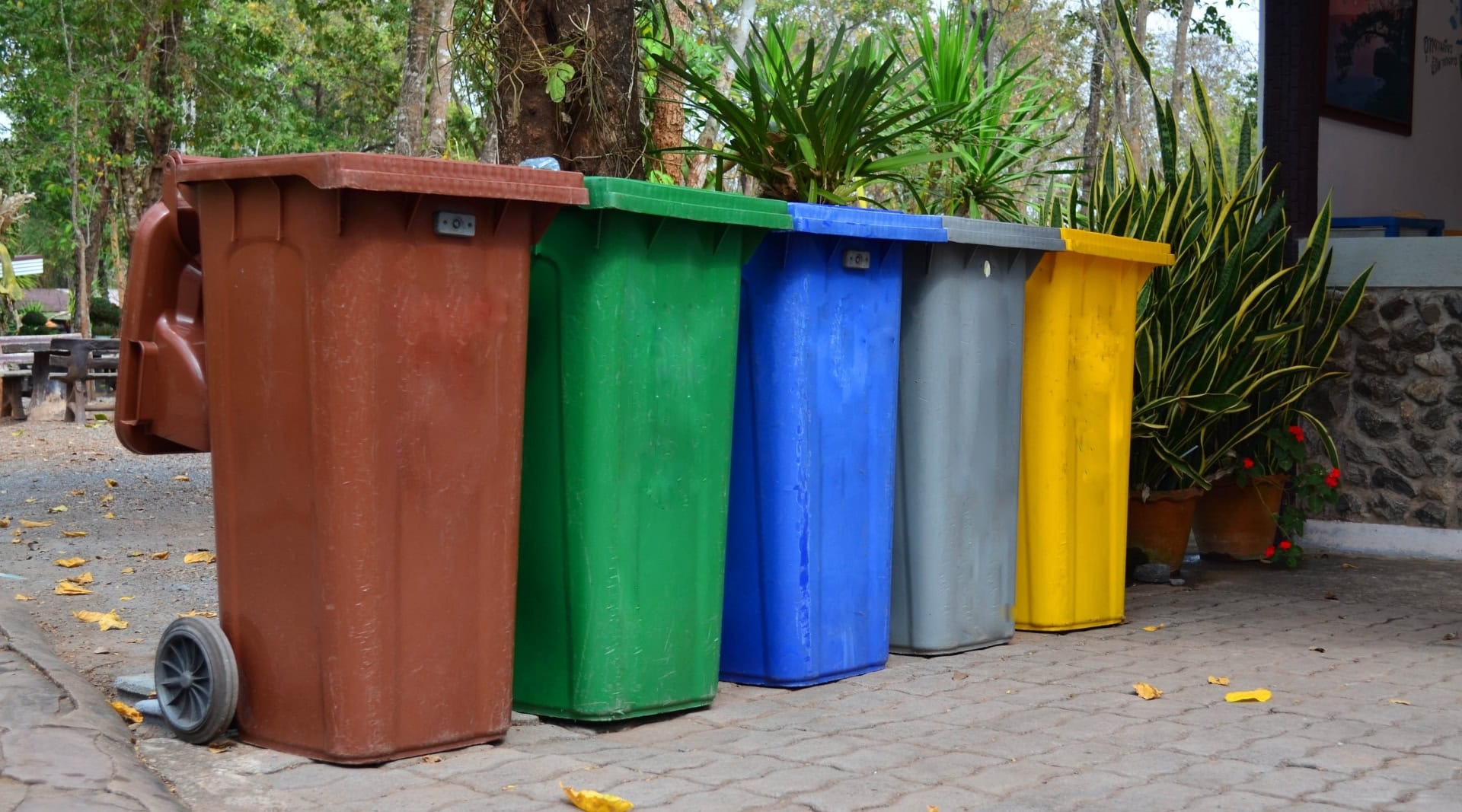 Image by ubonwanu (how-to-compost-in-an-apartment)