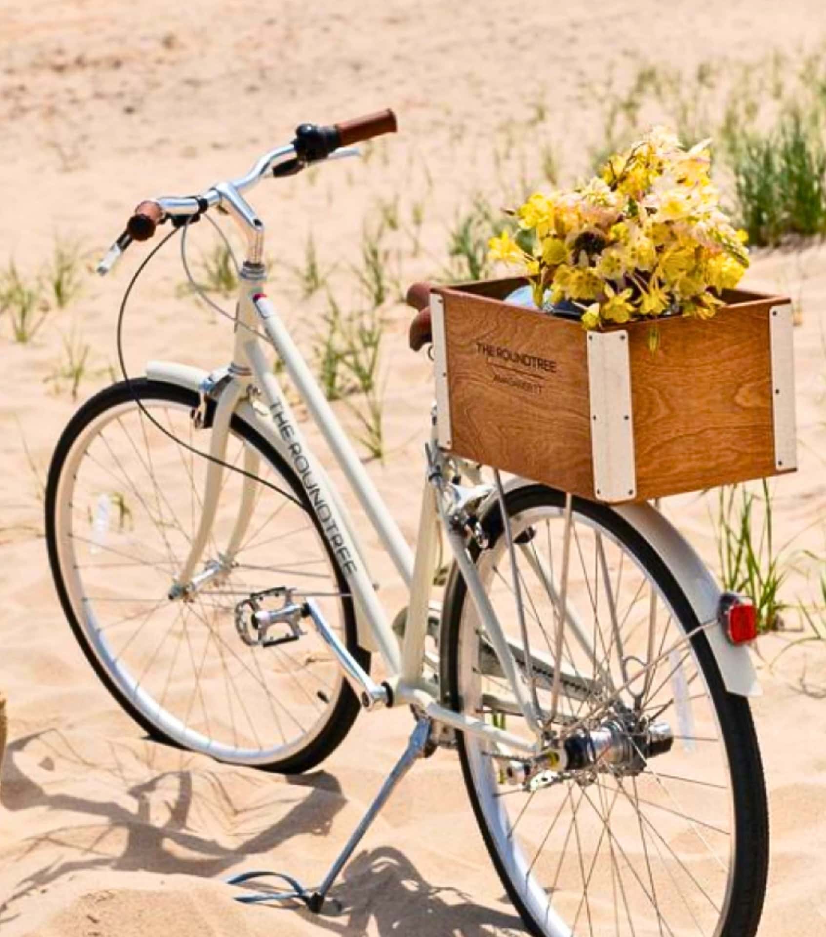 Image by Brooklyn Bicycle Co (eco-friendly-bikes) (2)