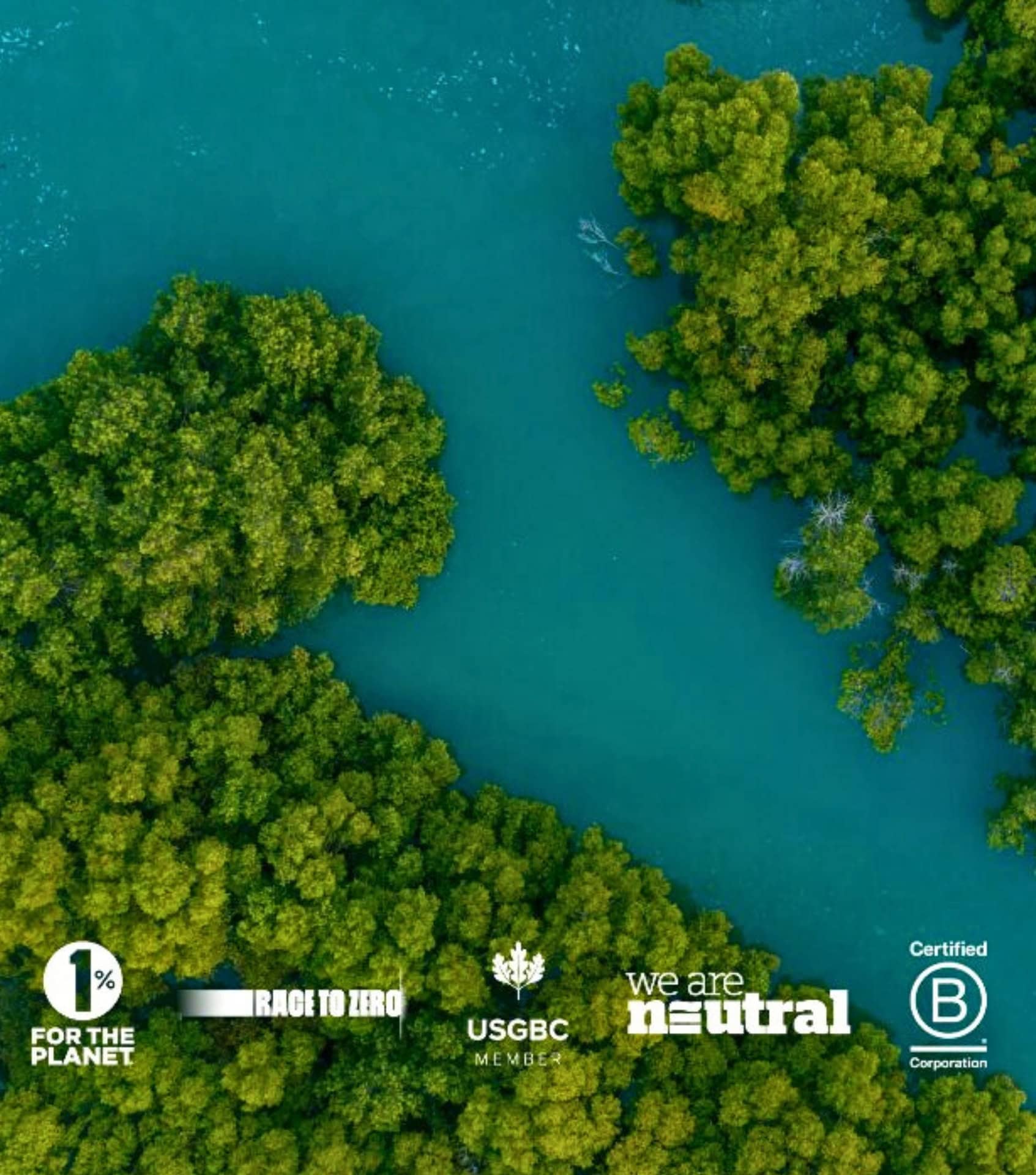 Image by Climate First (b-corp-banks) (2)