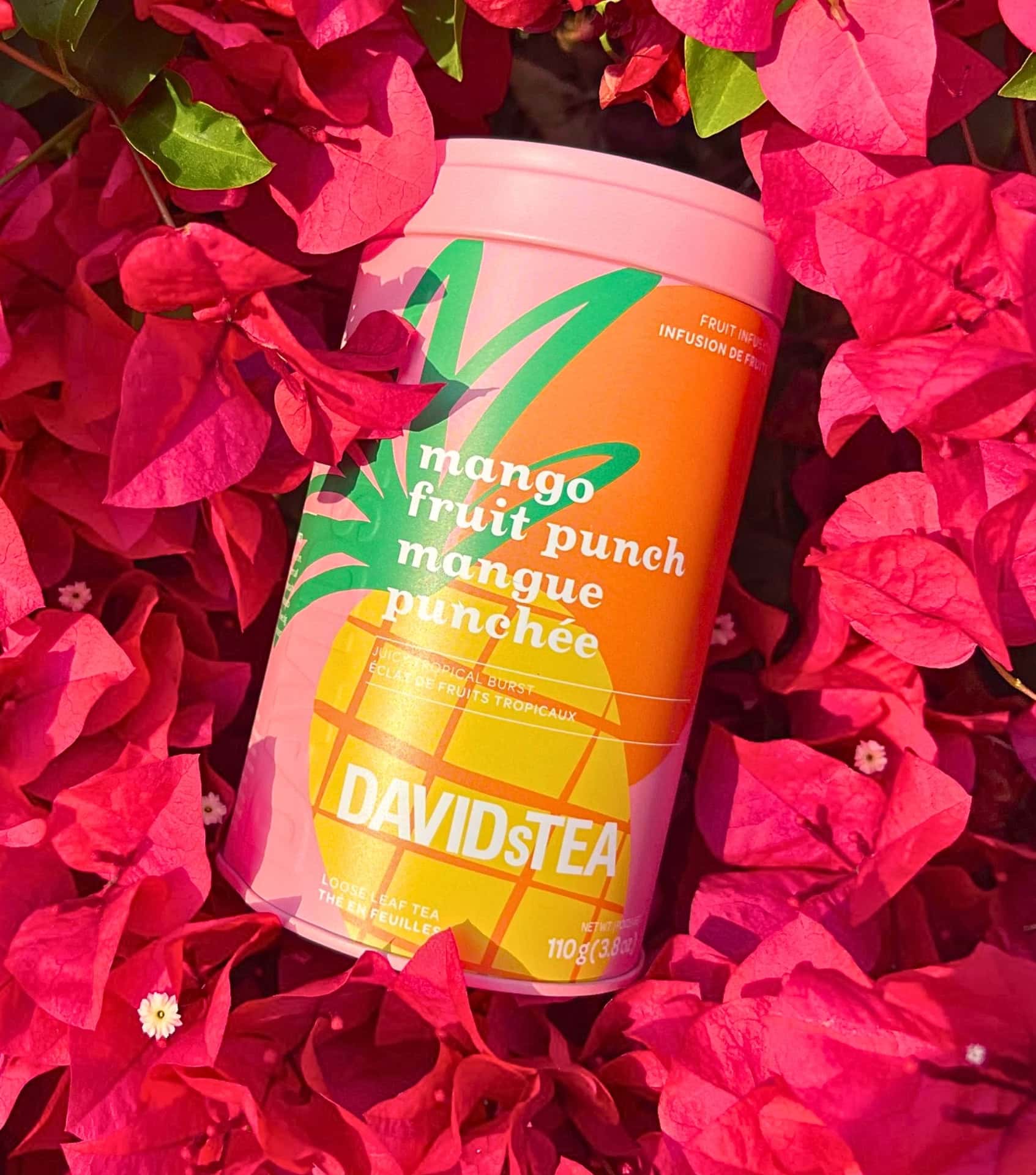 Image by DAVIDsTEA (sustainable-tea)