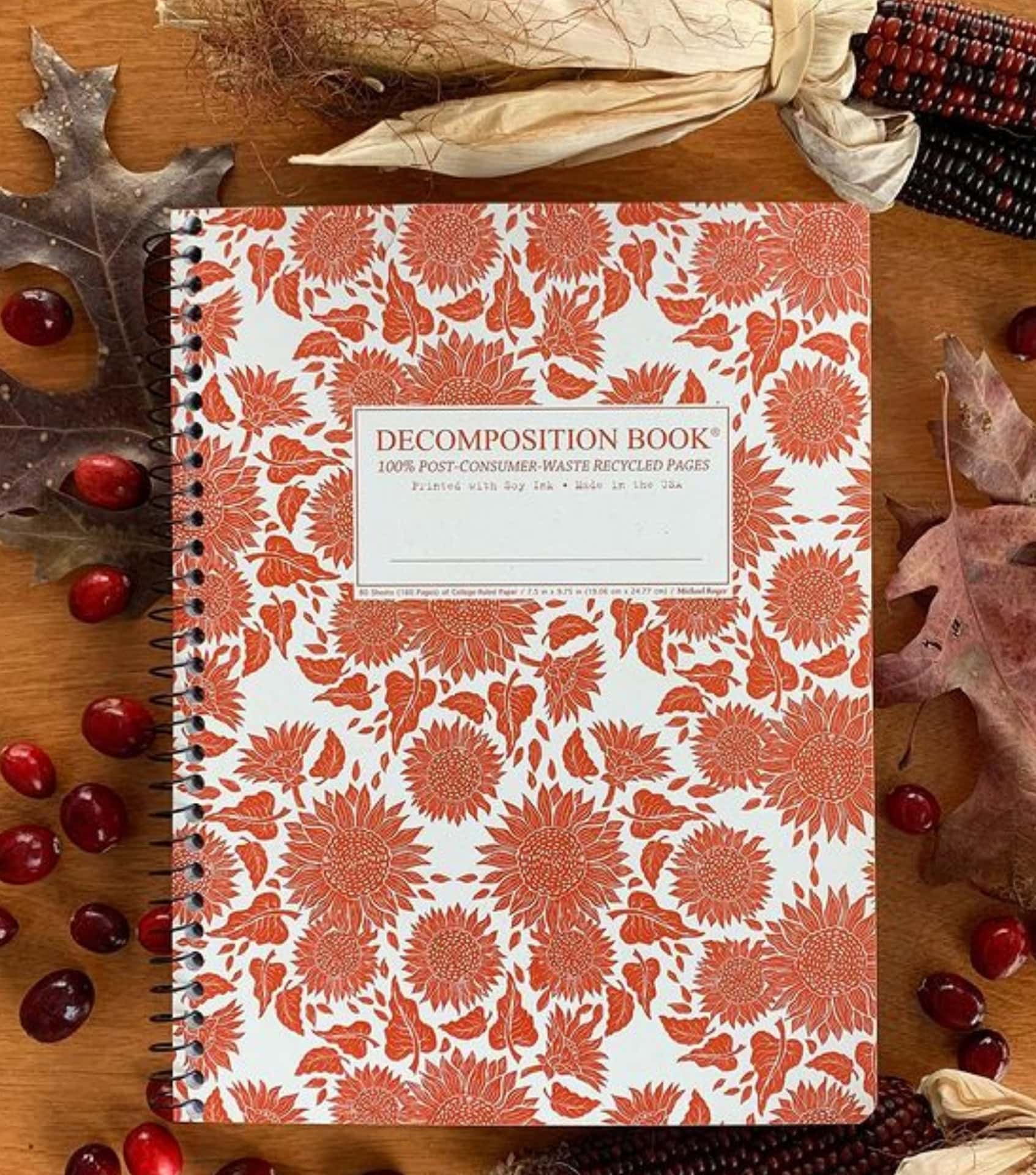 Image by Decomposition (eco-friendly-school-supplies)