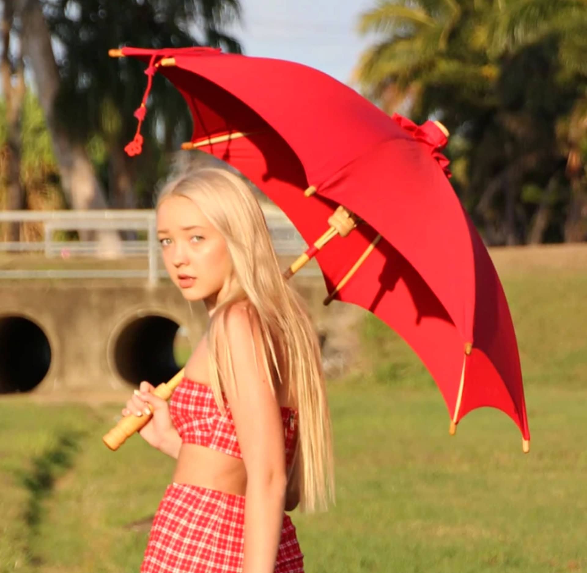 Image by Haasch (eco-friendly-umbrellas)