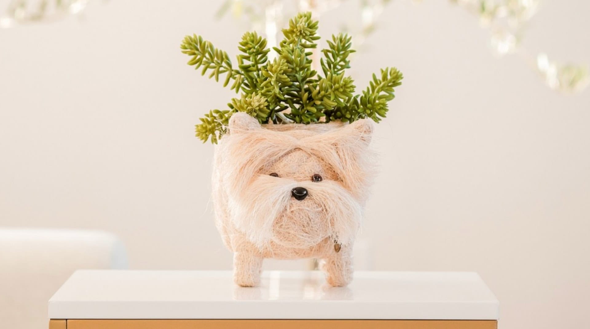 Image by LIKHÂ (sustainable-planters)