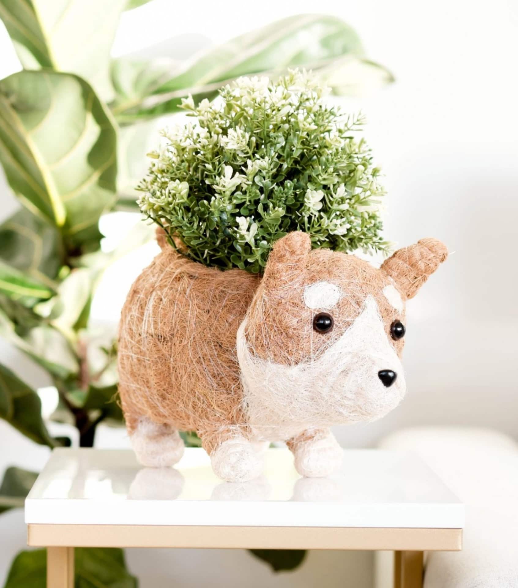 Image by LIKHÂ (sustainable-planters)