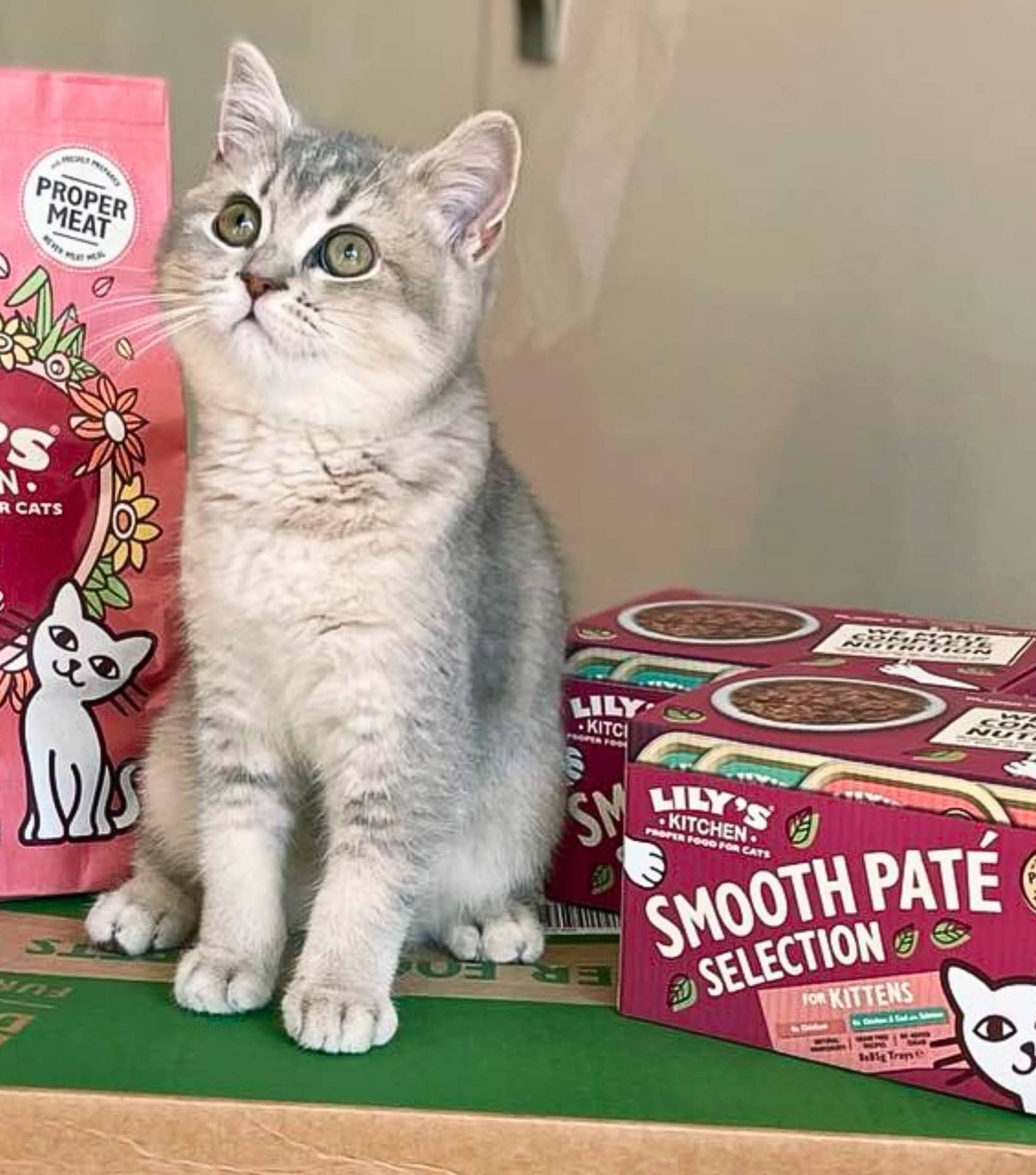 Image by Lily’s Kitchen (sustainable-cat-food) (2)