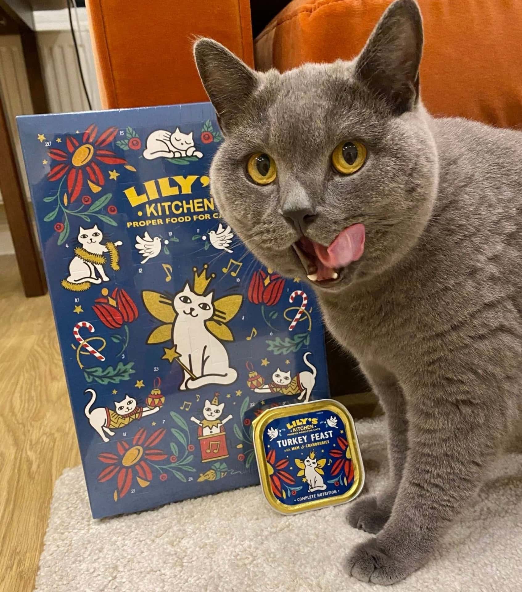 Image by Lily’s Kitchen (sustainable-cat-food)
