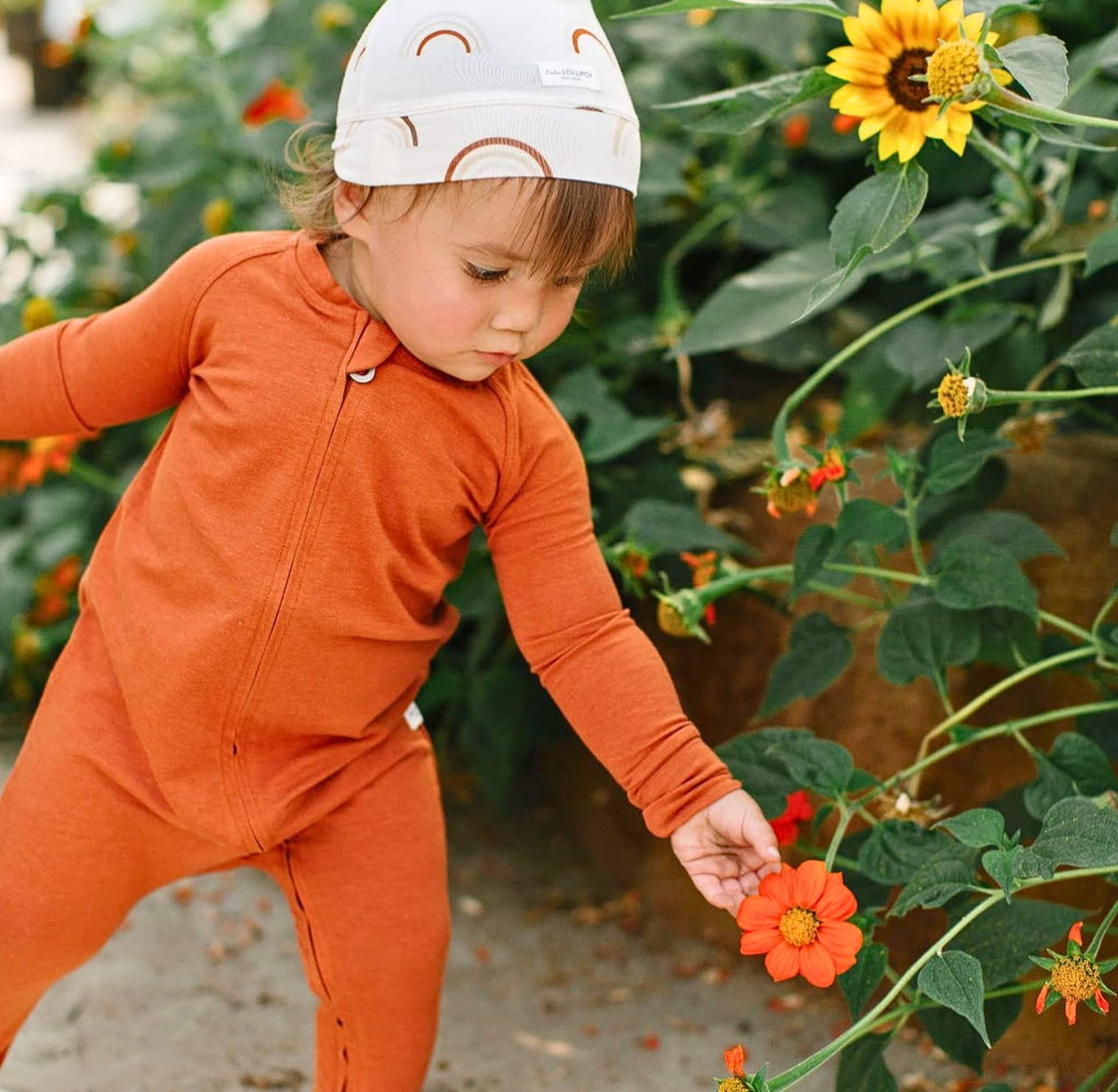 Image by LouLou Lollipop (organic-baby-products)