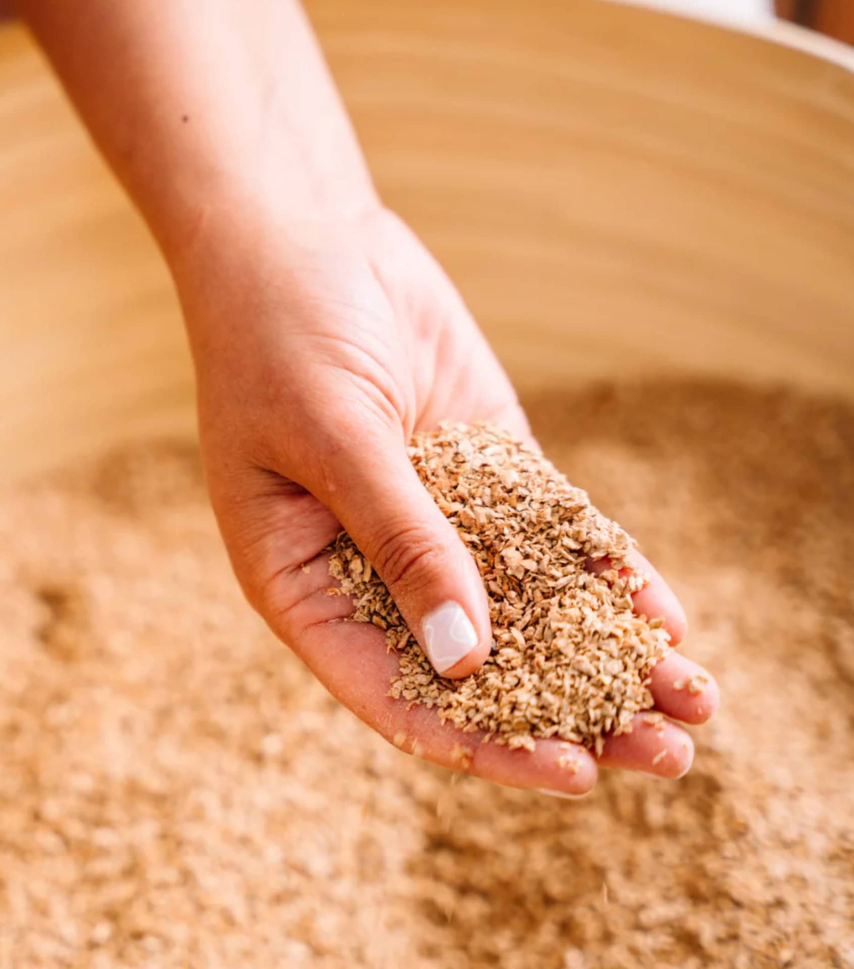 Hand scooping natural plant-based cat litter, one of several eco-friendly pet products designed to minimize waste and odor.