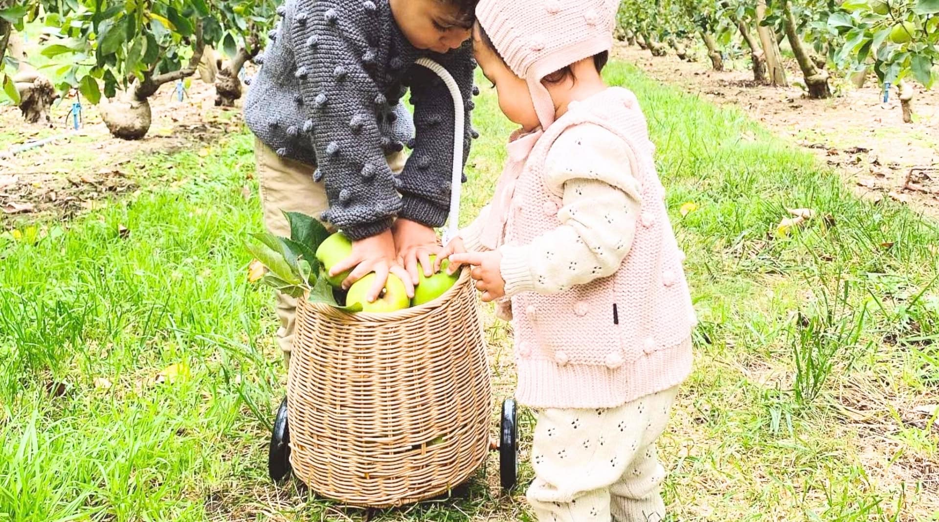 Image by Olli Ella (sustainable-picnic-baskets)