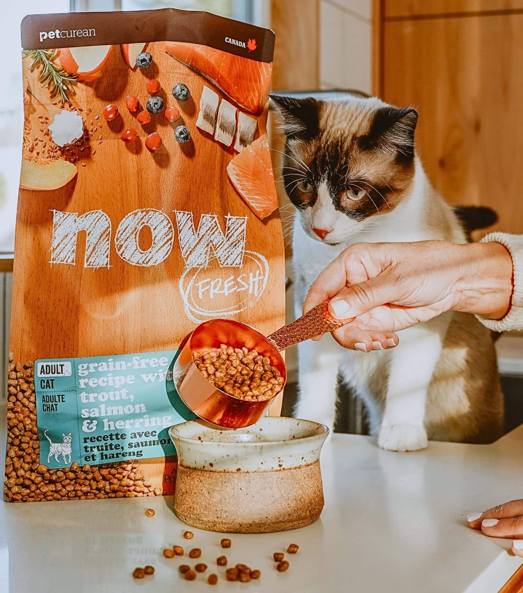 Image by Petcurean (sustainable-cat-food)