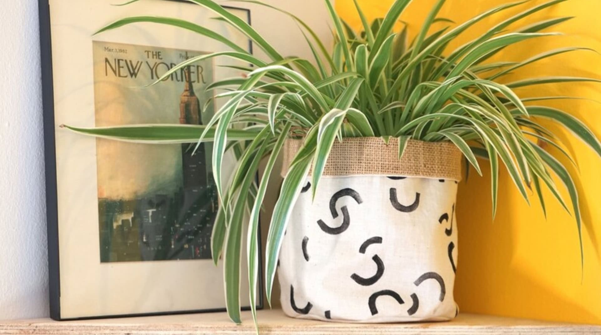 Image by Plant Apparel UK (recycled-pots-for-plants)