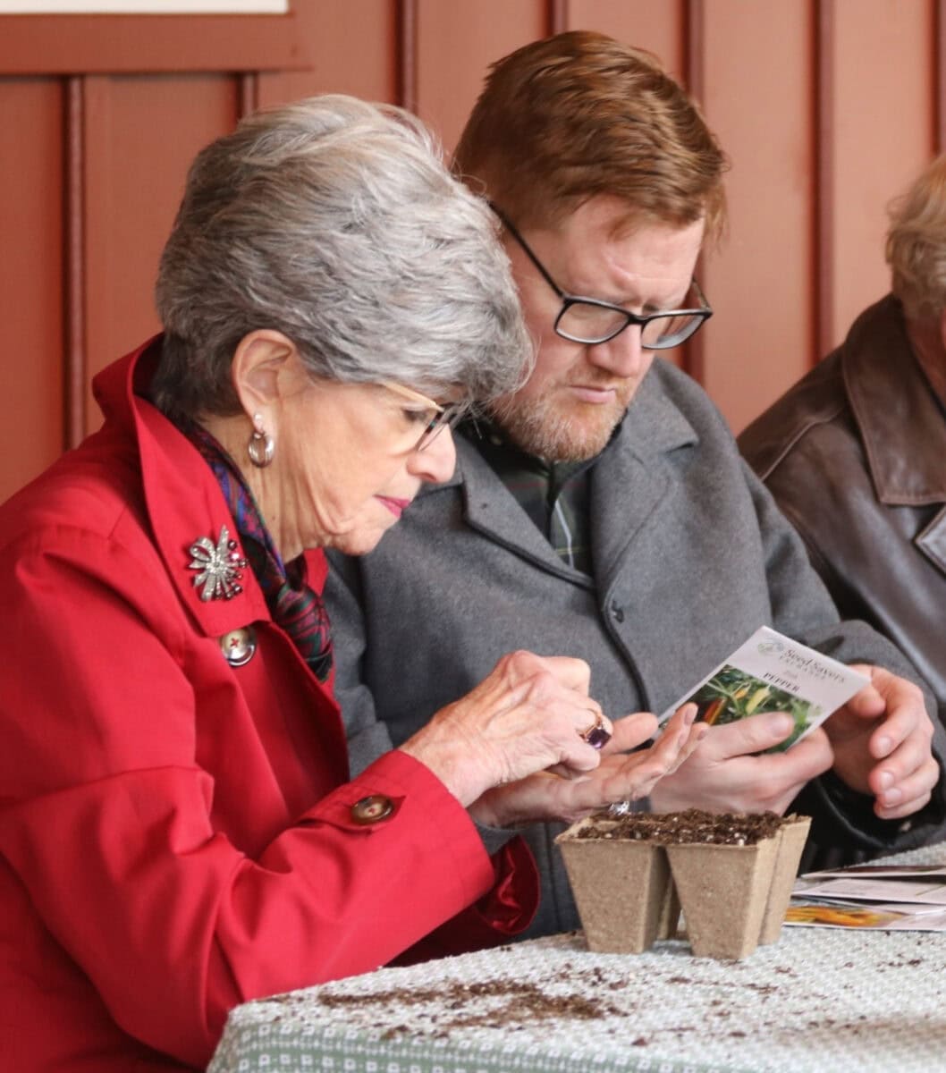 Sustainable Seeds 8 Companies Growing Plantastic Bounty