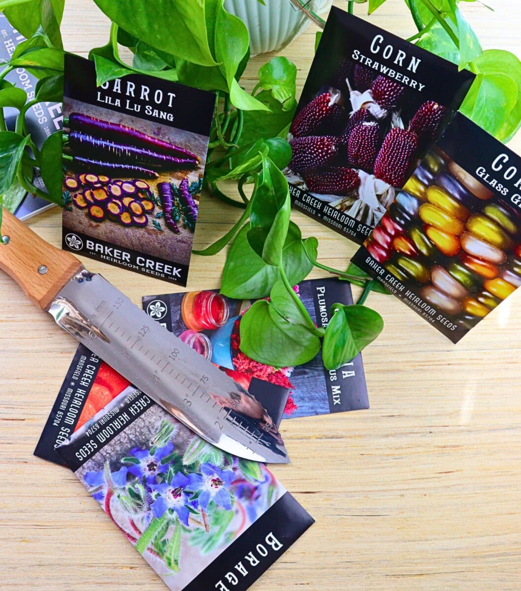 Sustainable Seeds 9 Companies Growing Plantastic Bounty