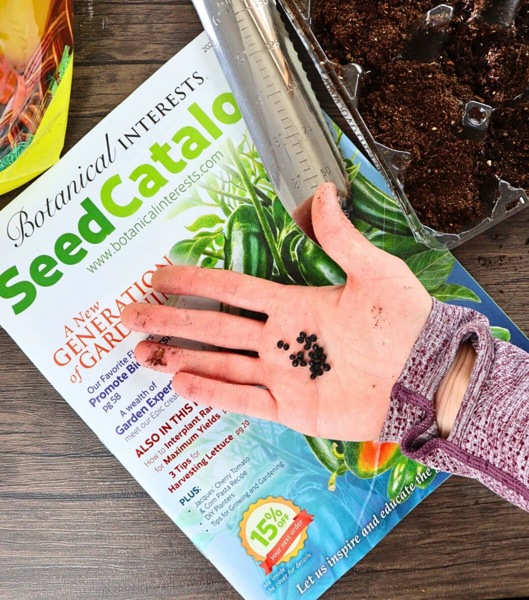 Sustainable Seeds 8 Companies Growing Plantastic Bounty