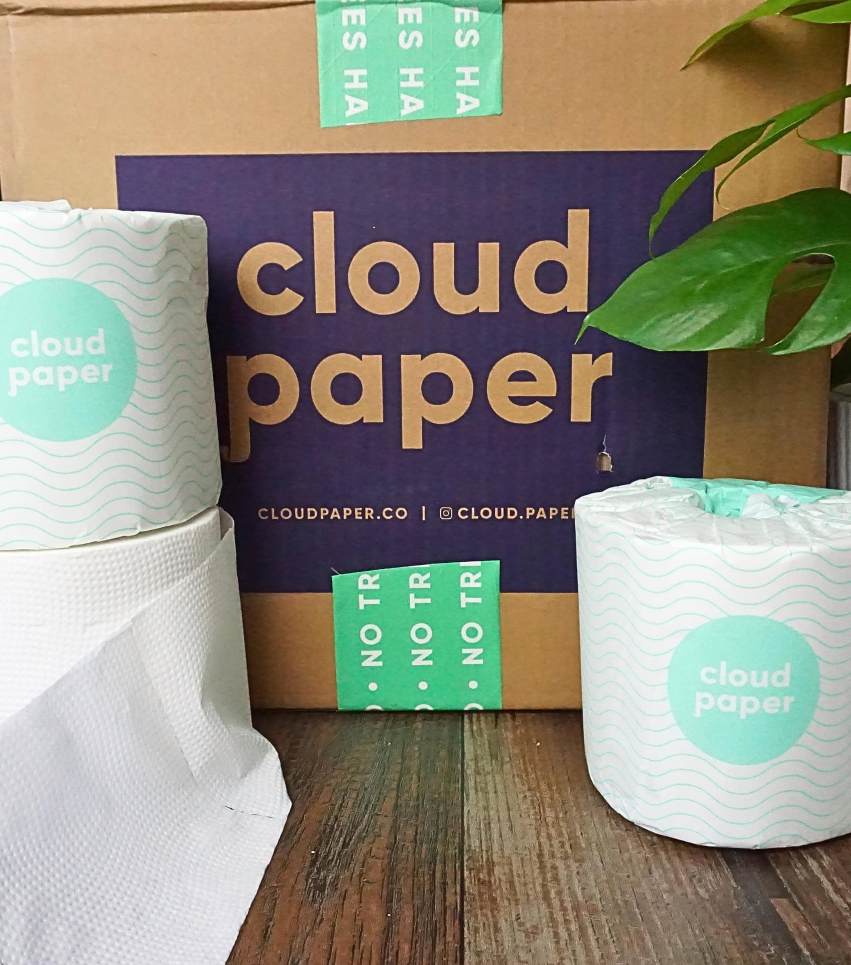 Image by Sustainable Jungle (Cloud Paper) (best-bamboo-toilet-paper)