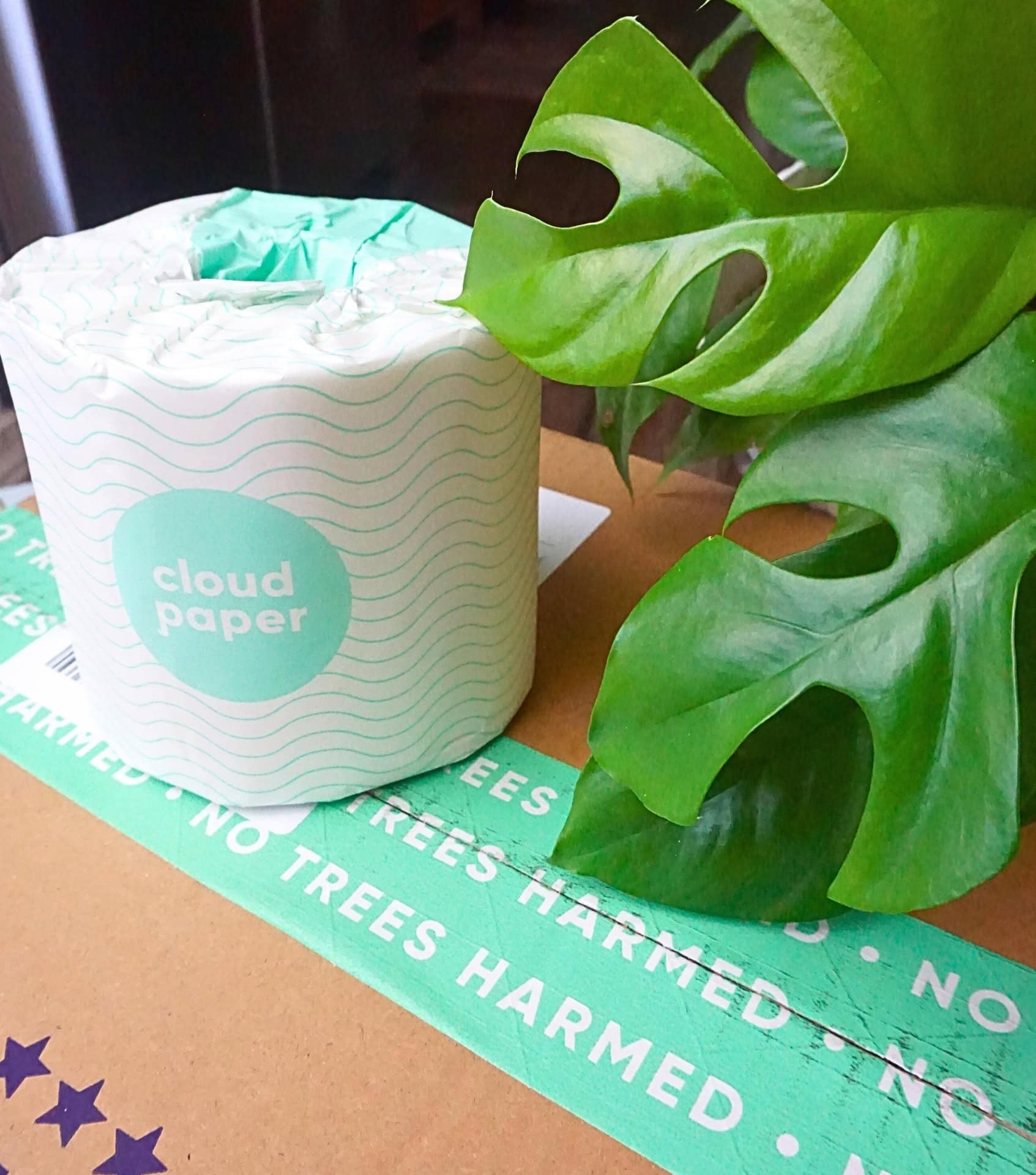 Image by Sustainable Jungle (Cloud Paper) (eco-friendly-toilet-paper) (2)