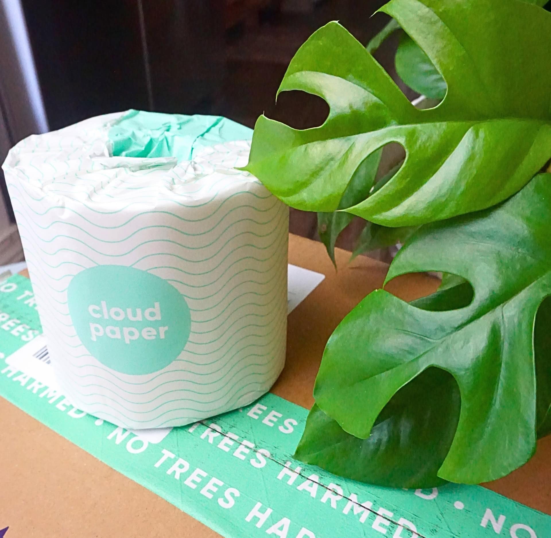 Image by Sustainable Jungle (Cloud Paper) (non-toxic-toilet-paper)