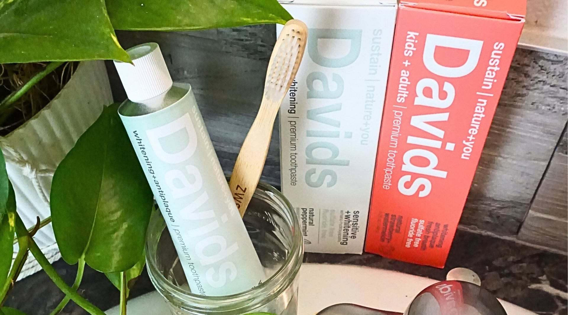 Image by Sustainable Jungle (Davids) (natural-toothpaste)