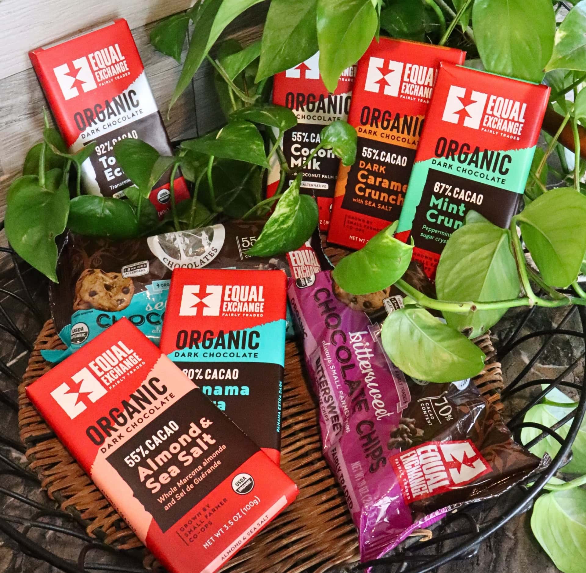 Image by Sustainable Jungle ((Equal Exchange) (sustainable-candy)