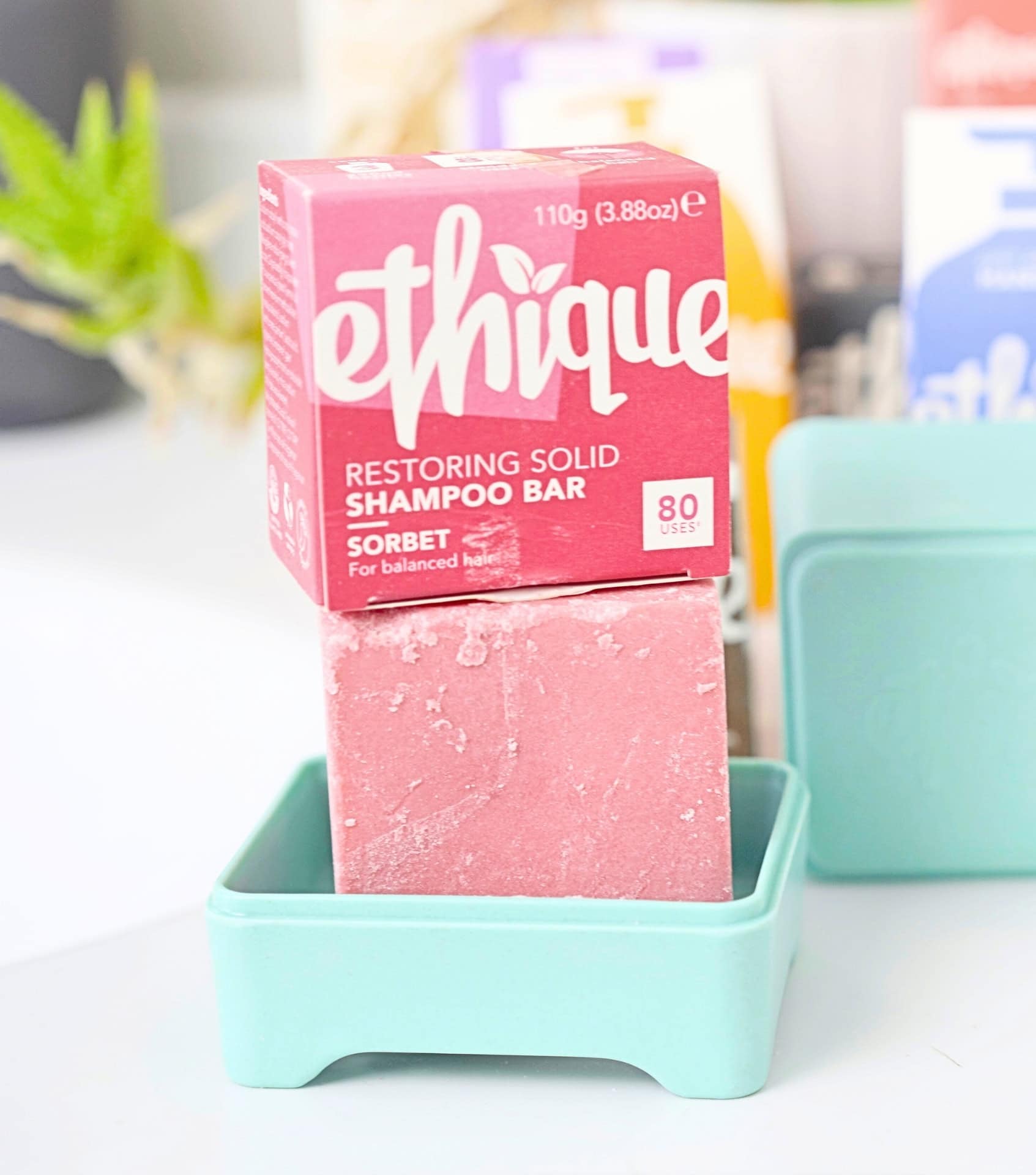 Image by Sustainable Jungle (Ethique) (eco-friendly-bathroom-products)