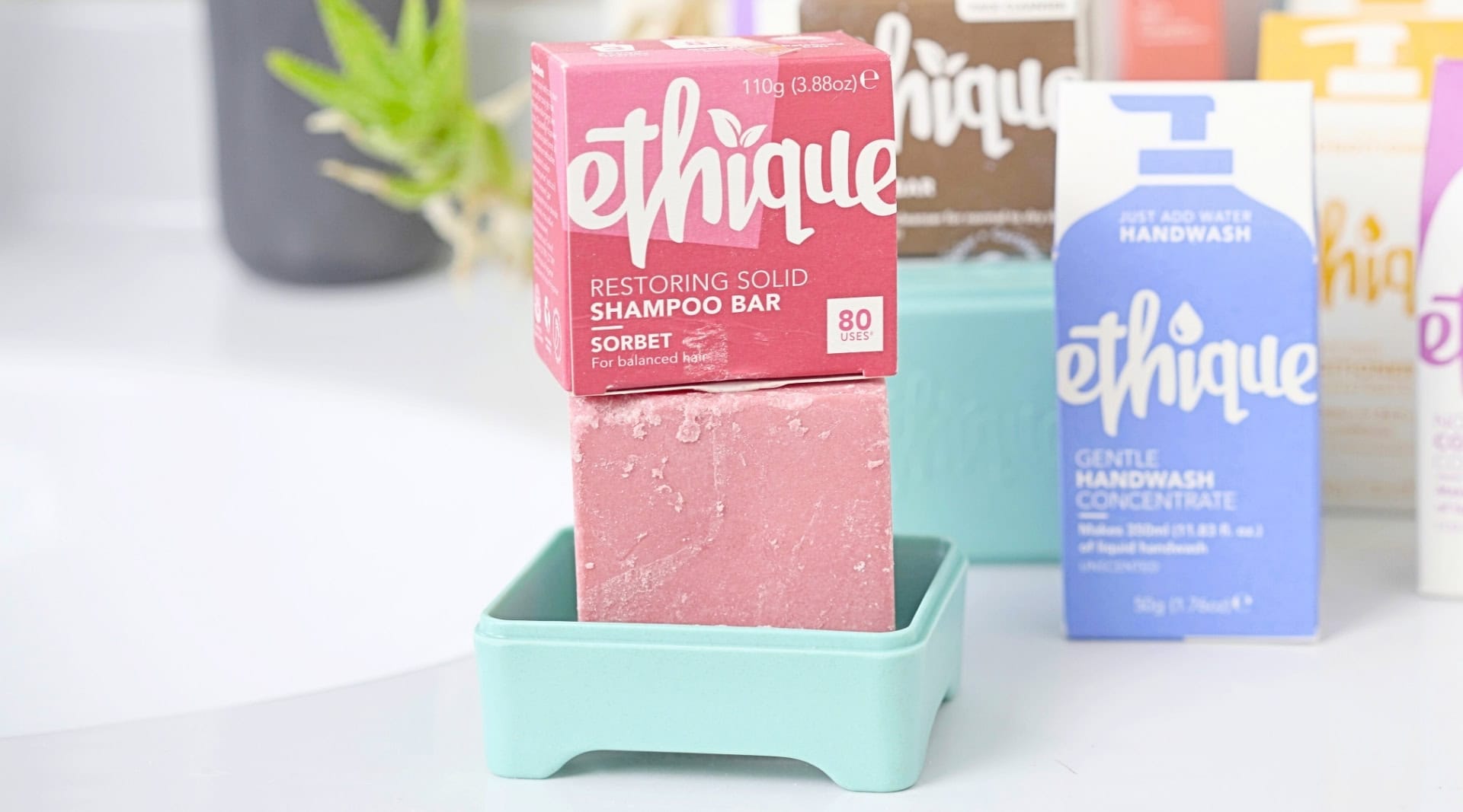 Image by Sustainable Jungle (Ethique) (palm-oil-free-shampoo)