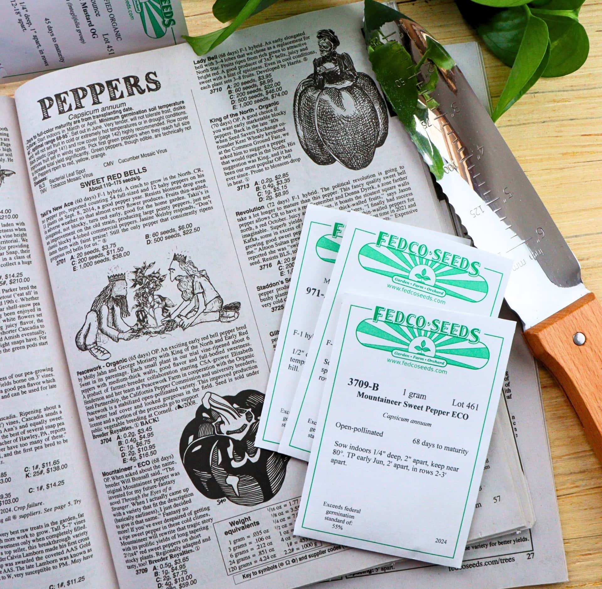 Image by Sustainable Jungle (Fedco) (sustainable-seed-company)