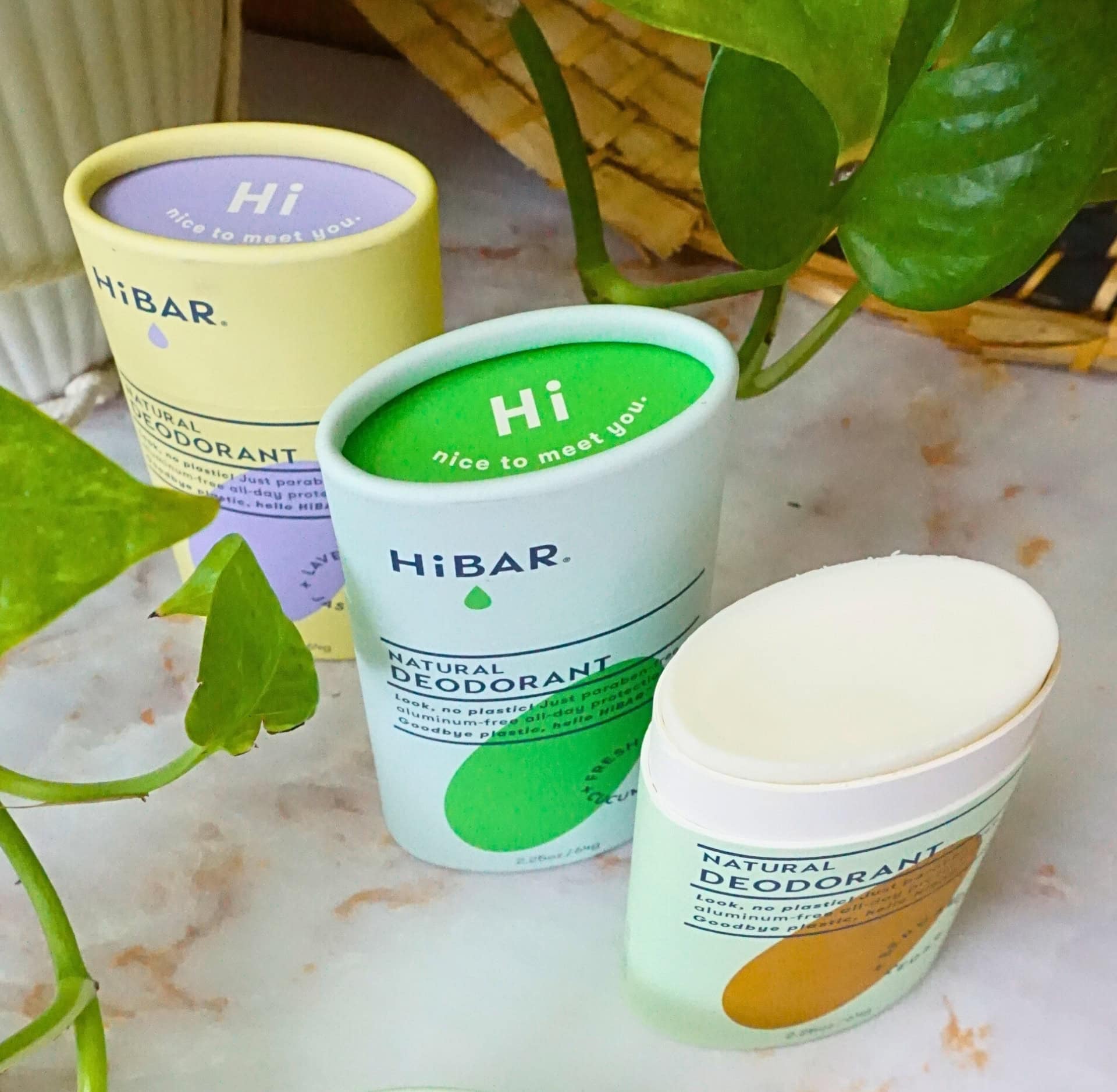 Image by Sustainable Jungle (HiBAR) (non-toxic-deodorant)