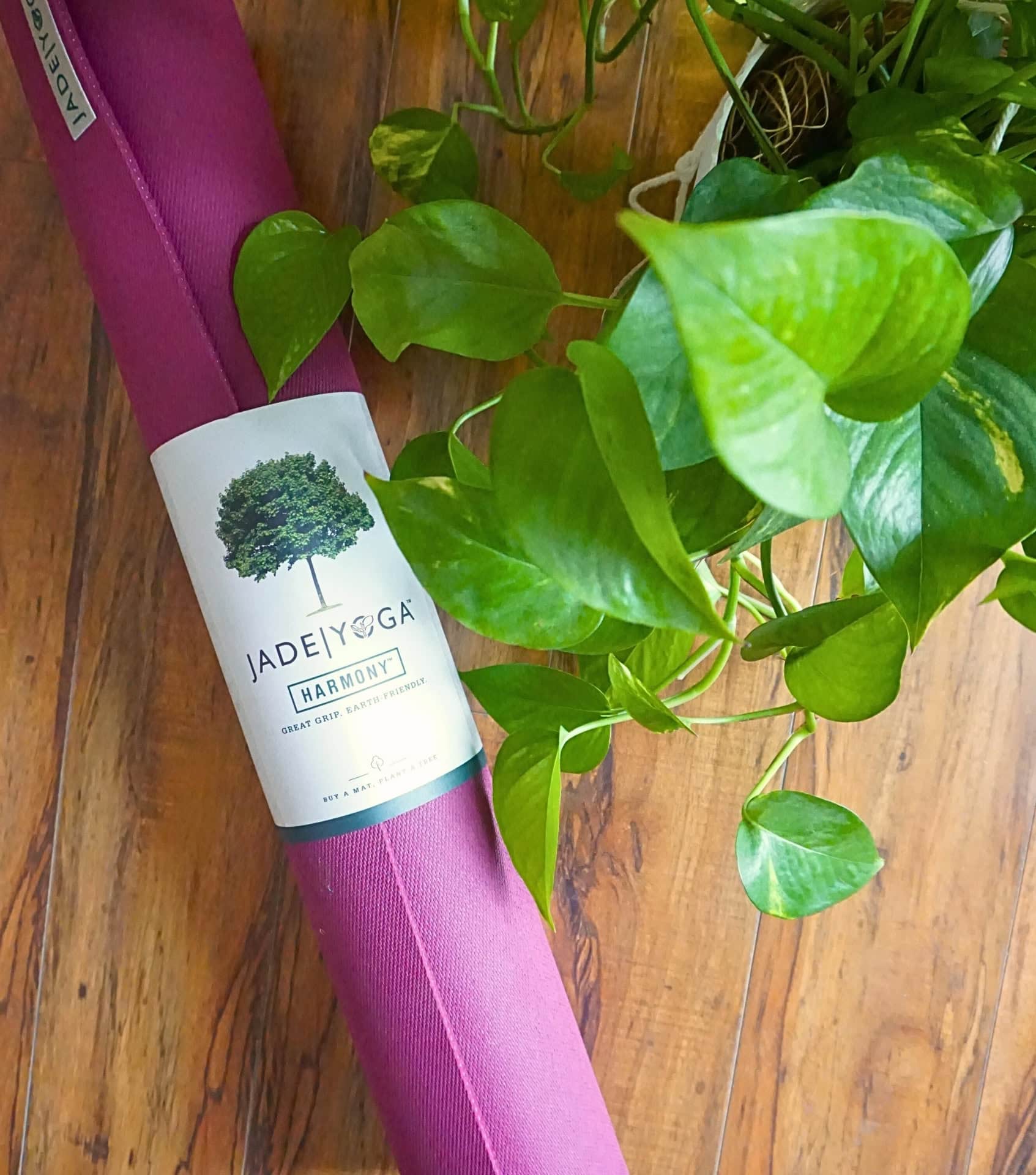 Image by Sustainable Jungle (Jade Yoga) (non-toxic-yoga-mats) (2)